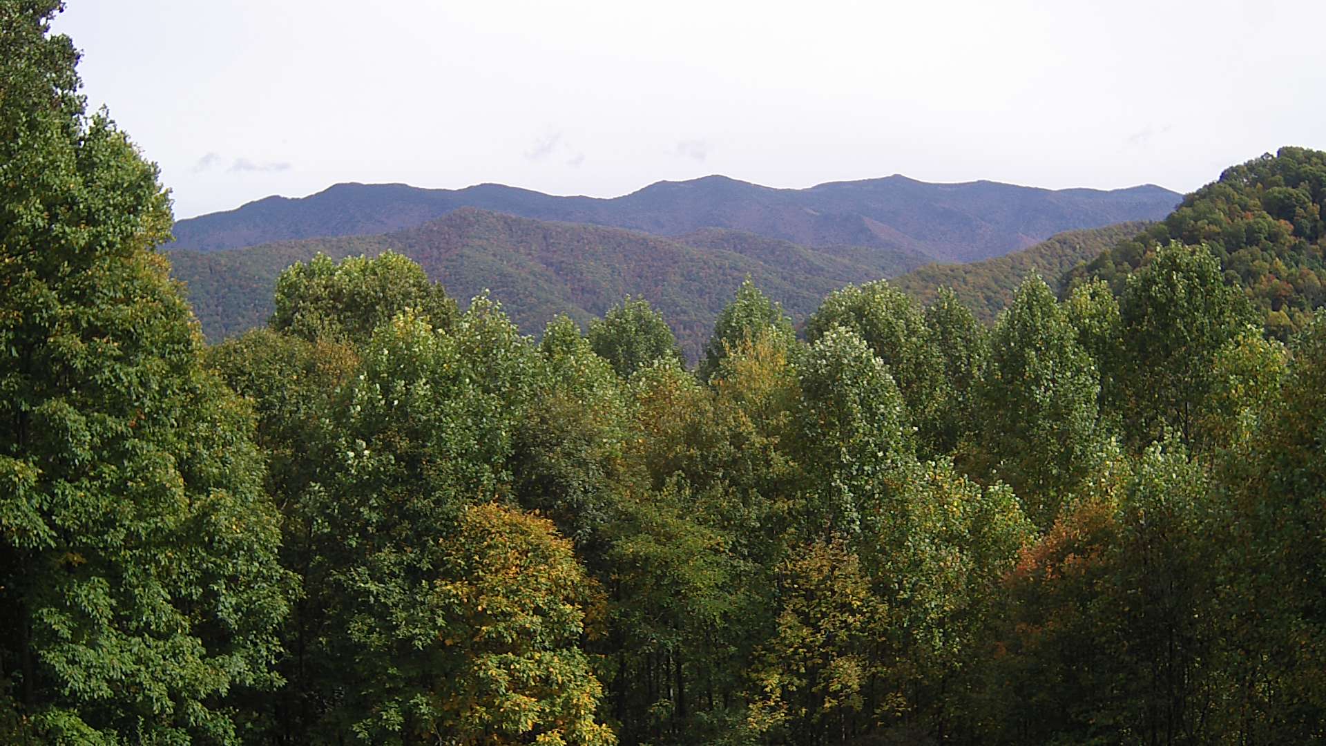 click for next image... slideshow image