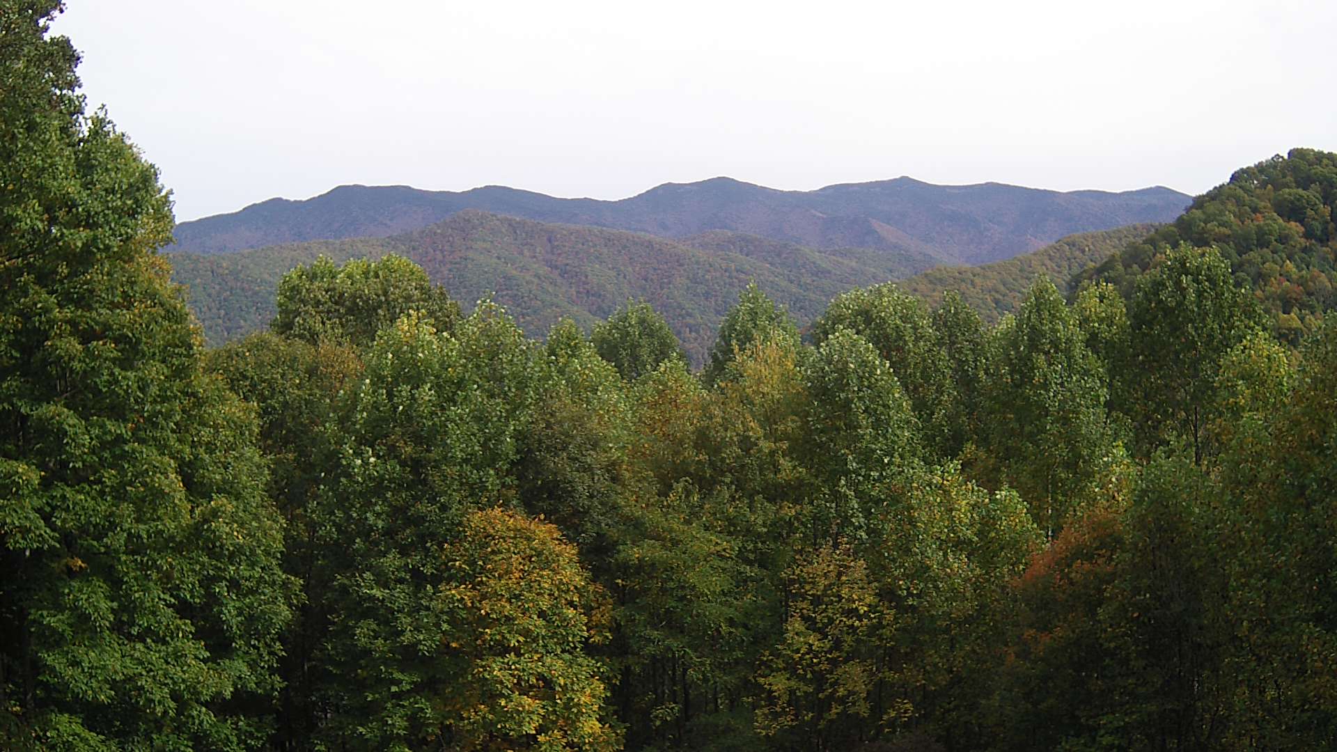 click for next image... slideshow image