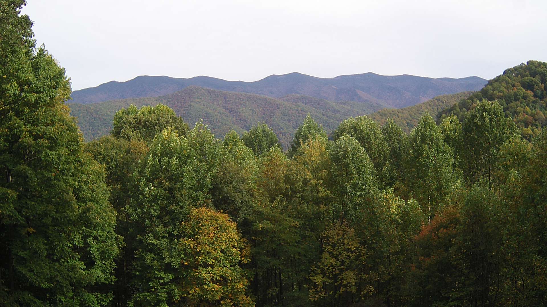 click for next image... slideshow image