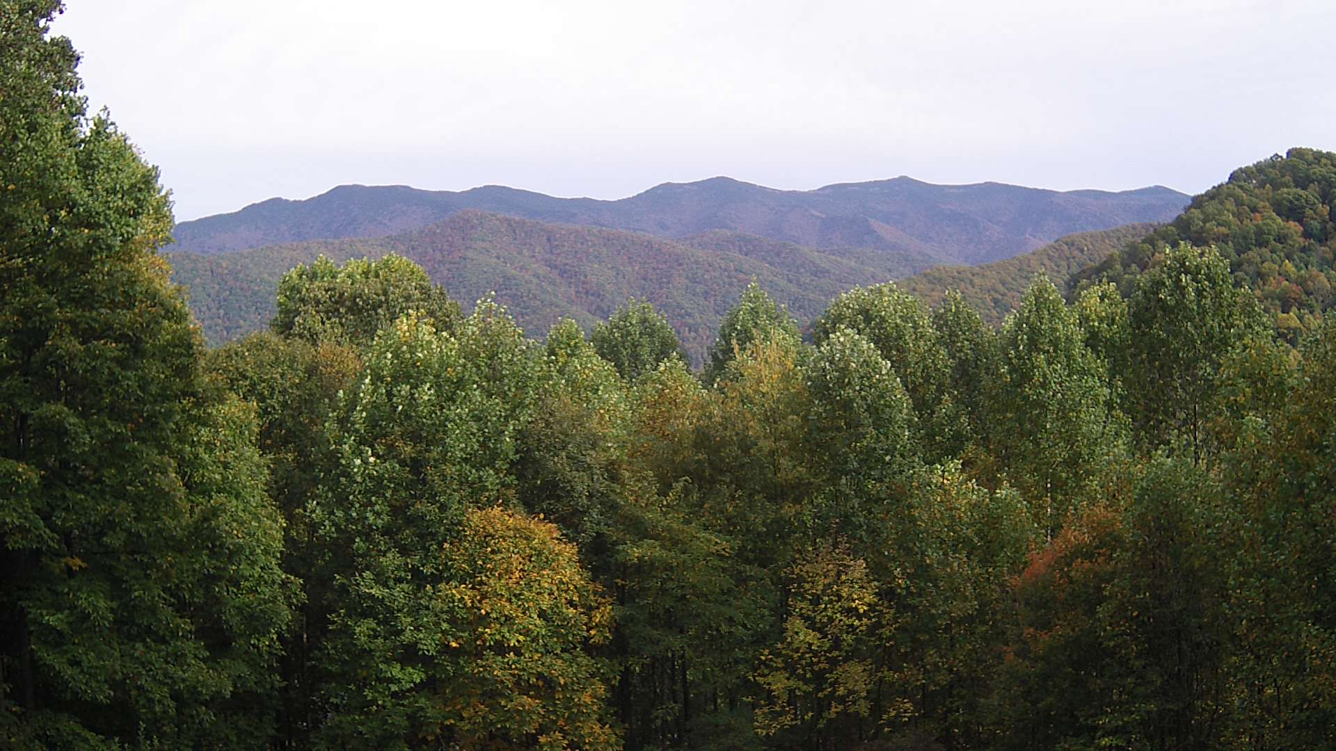 click for next image... slideshow image