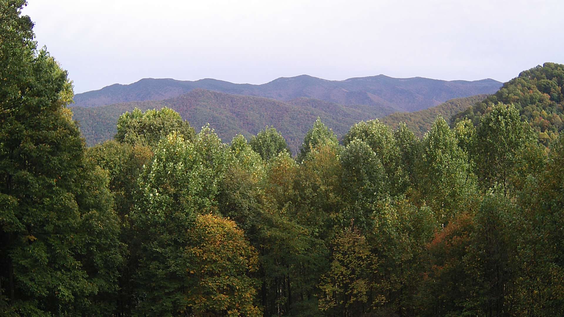 click for next image... slideshow image