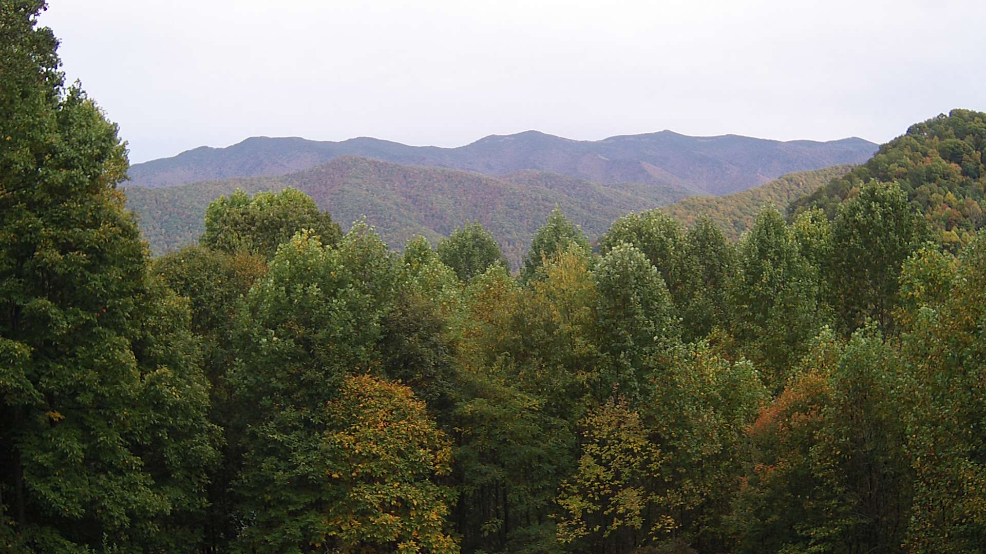 click for next image... slideshow image