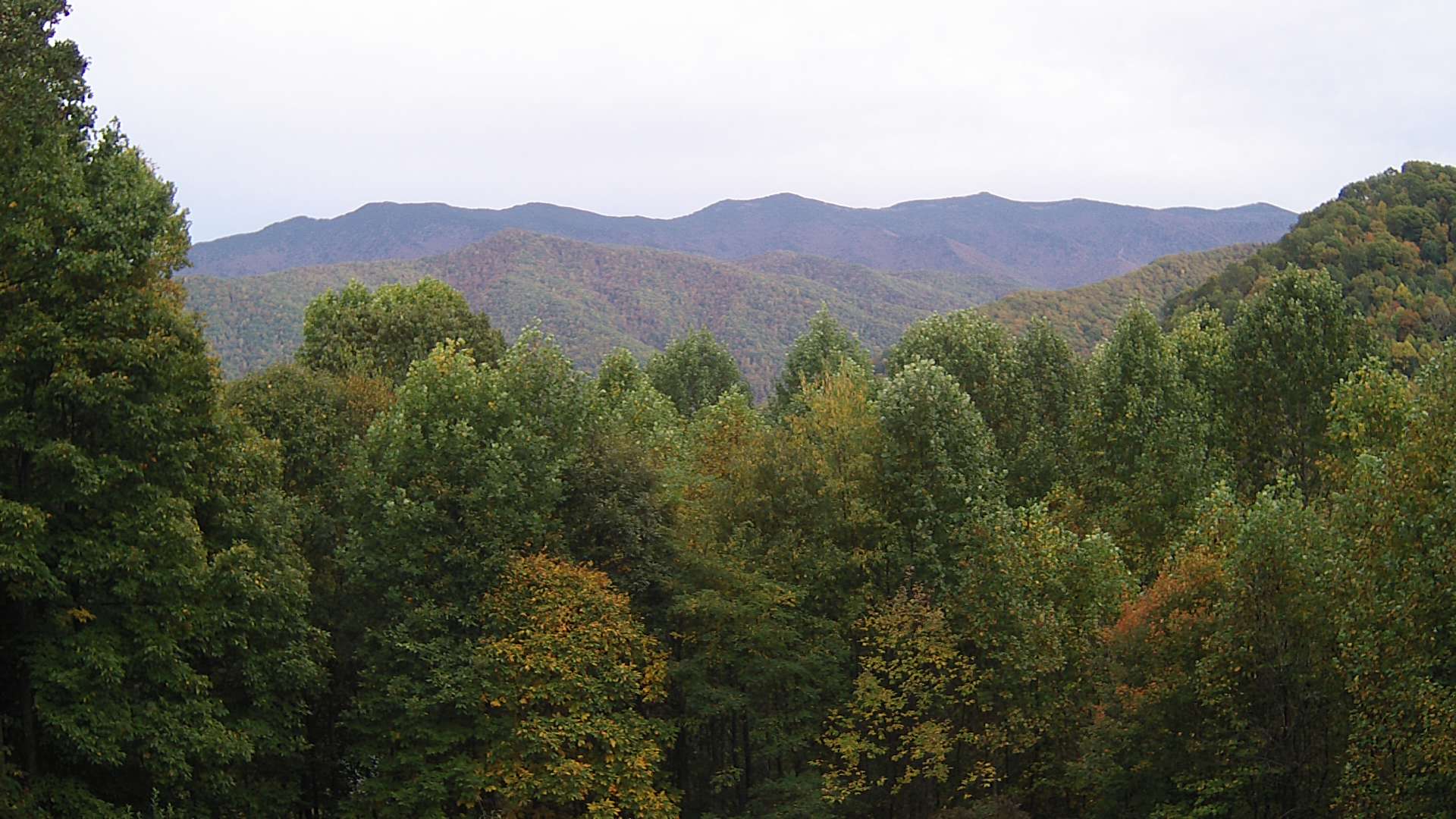 click for next image... slideshow image