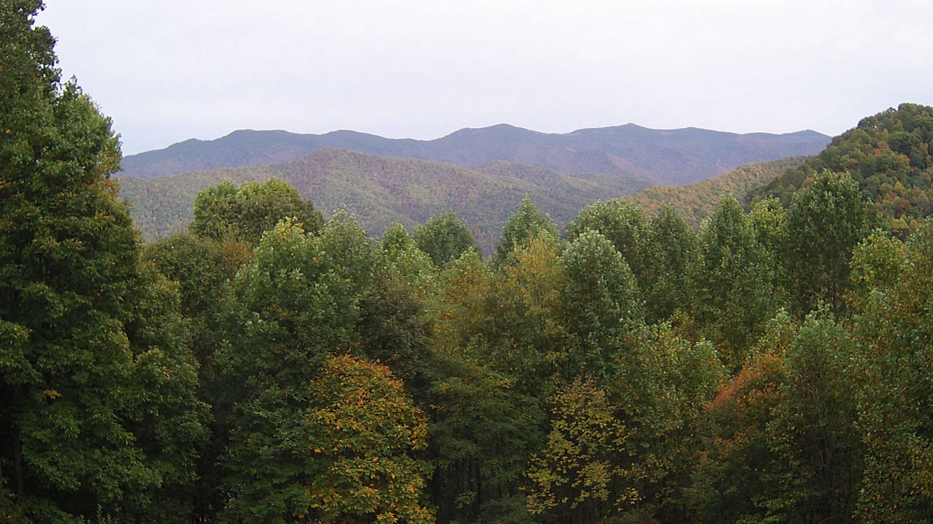 click for next image... slideshow image