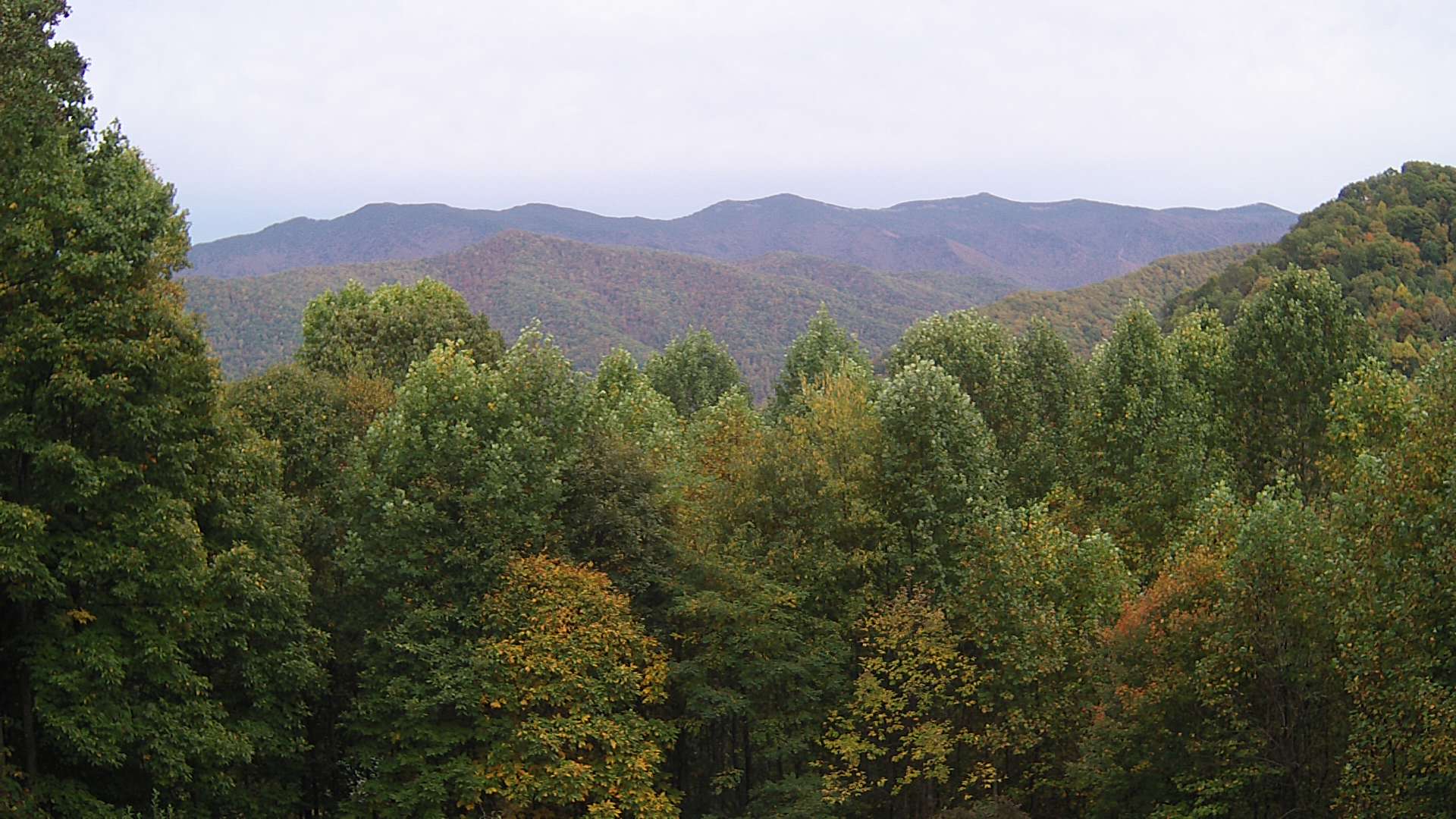 click for next image... slideshow image