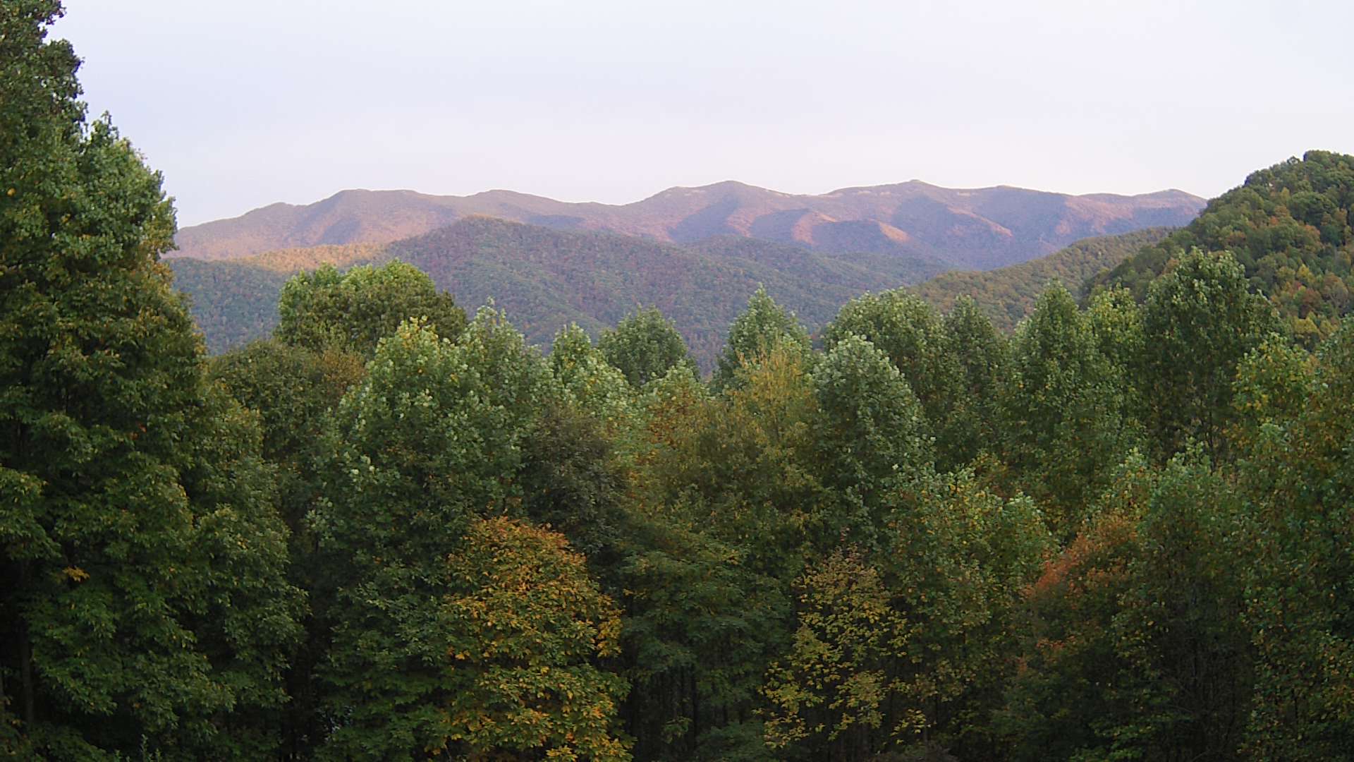 click for next image... slideshow image