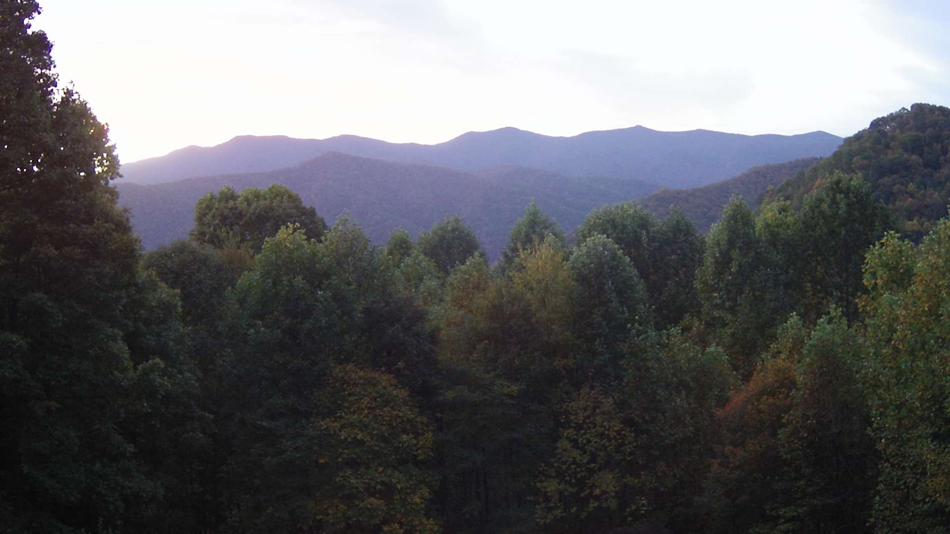 click for next image... slideshow image