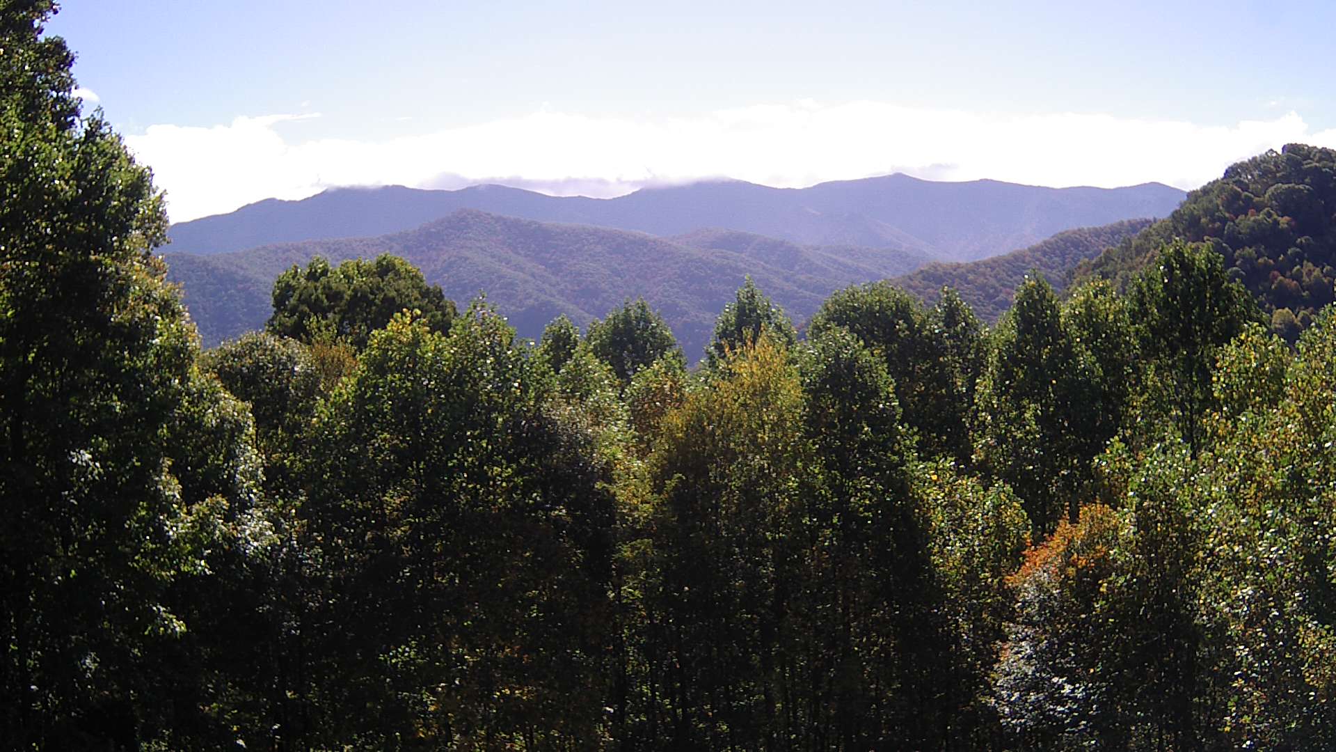 click for next image... slideshow image