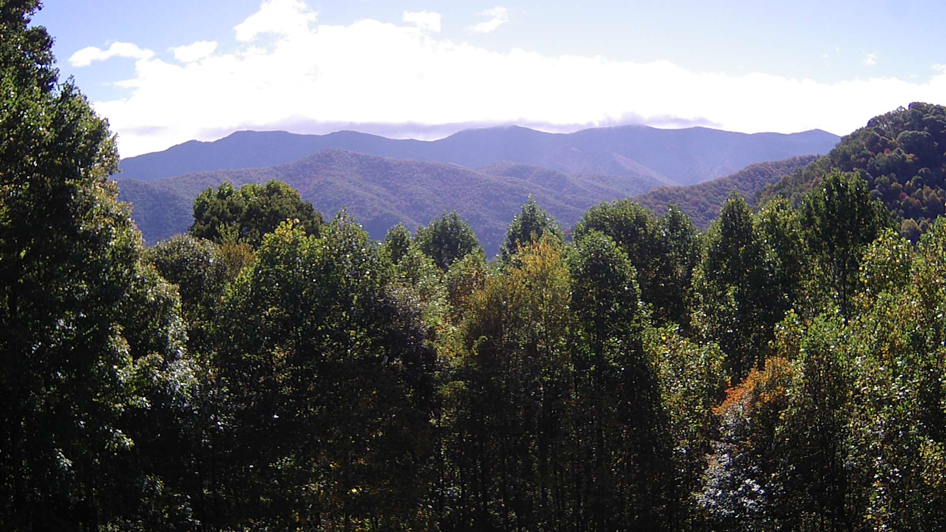 click for next image... slideshow image