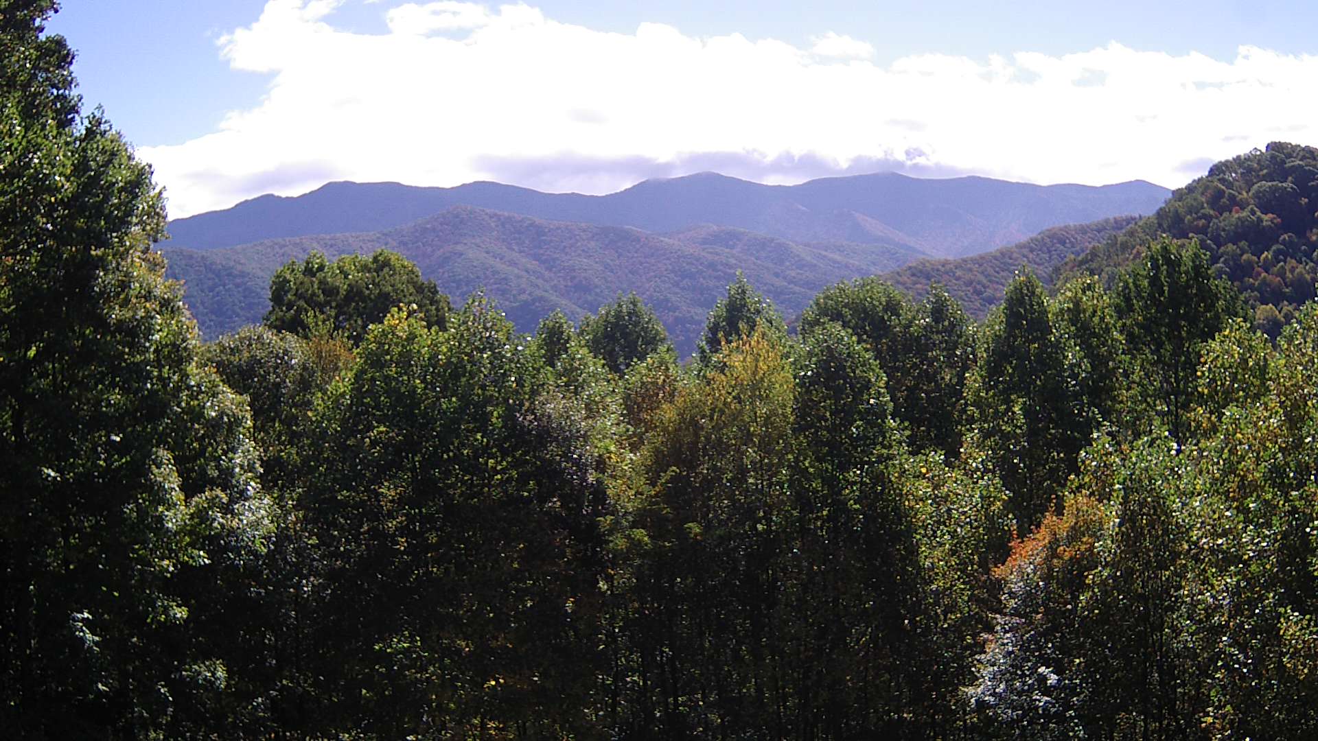 click for next image... slideshow image