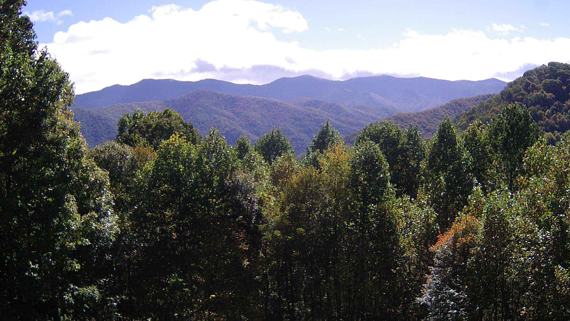 click for next image... slideshow image