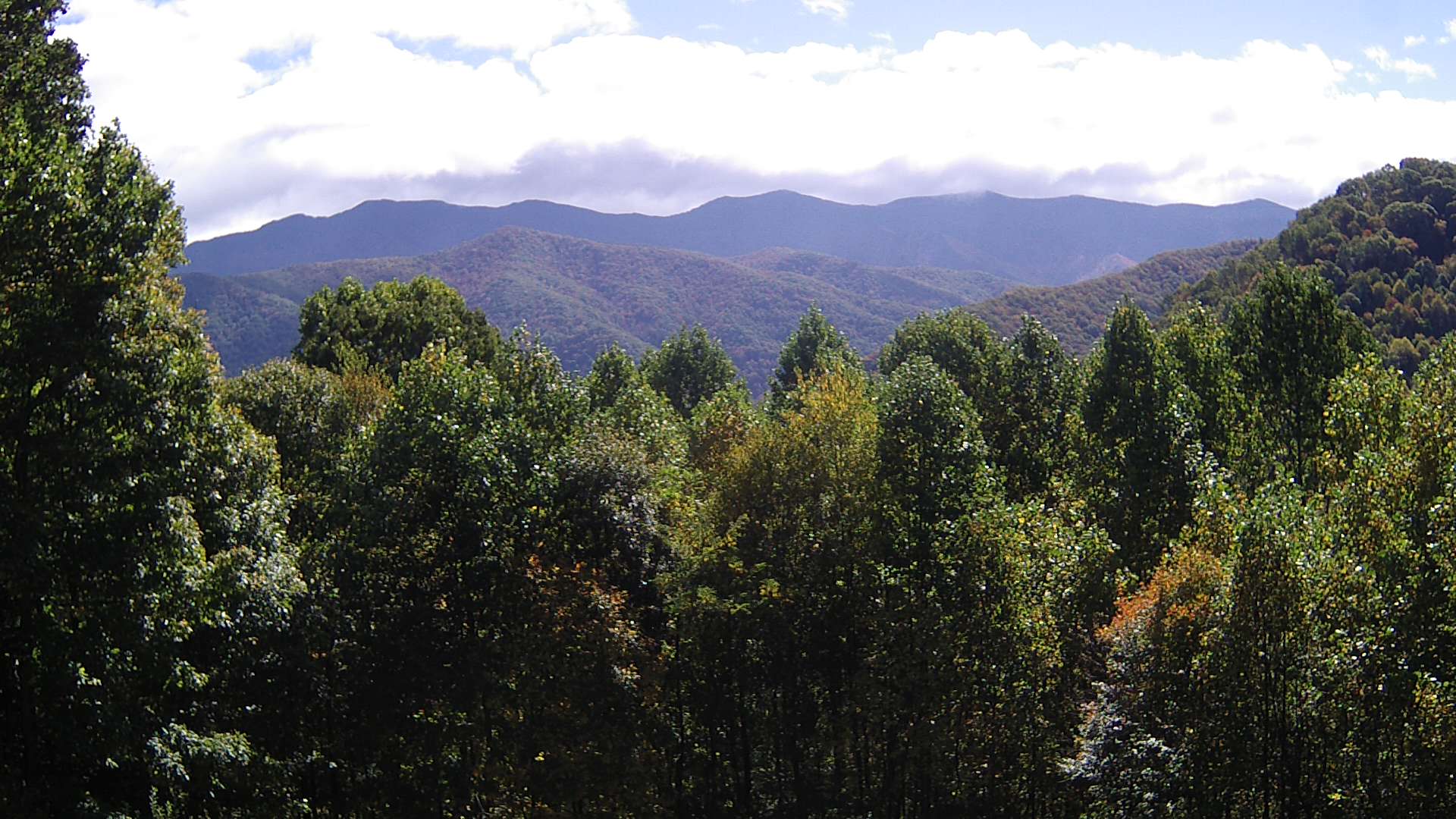 click for next image... slideshow image