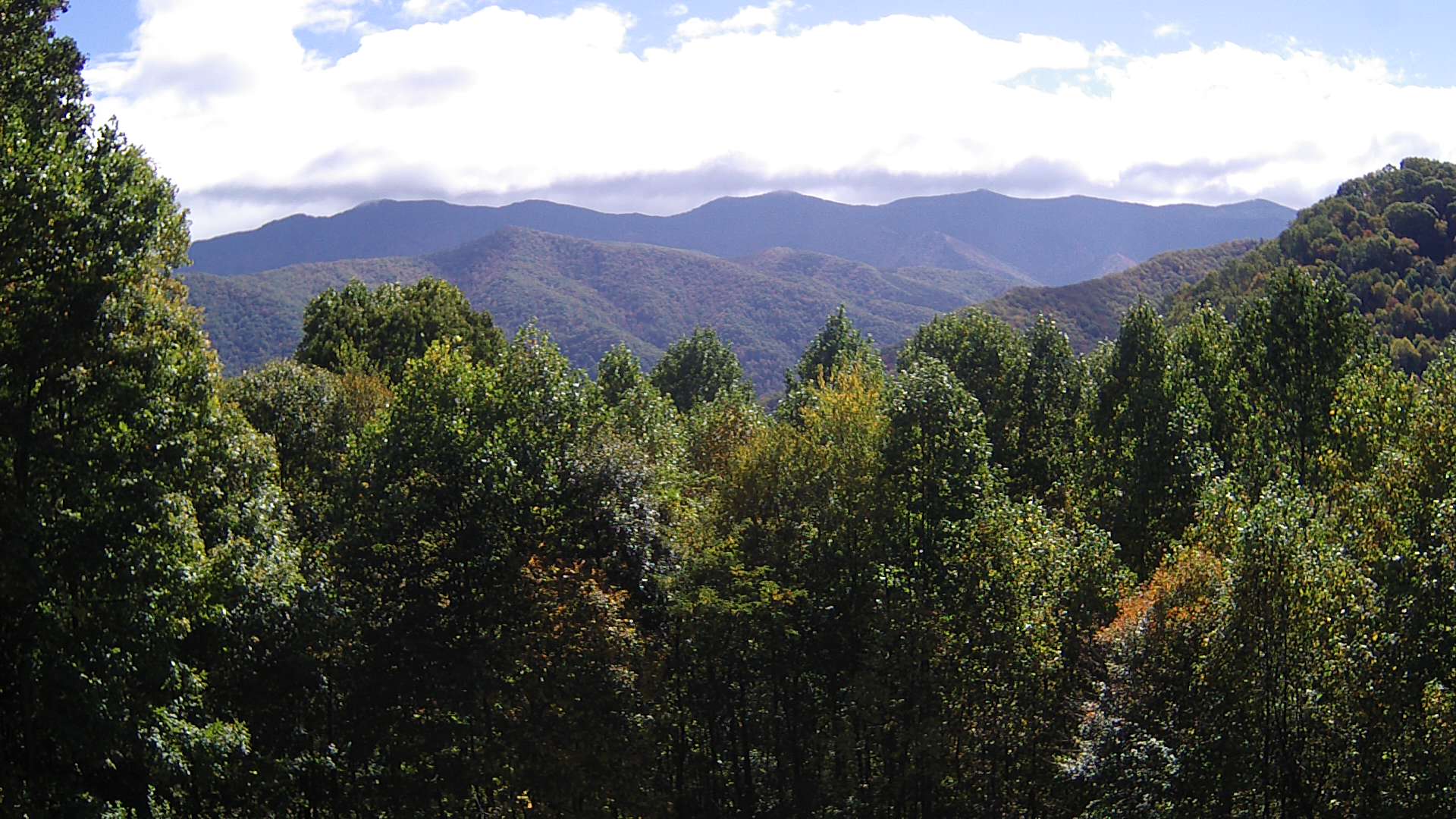 click for next image... slideshow image