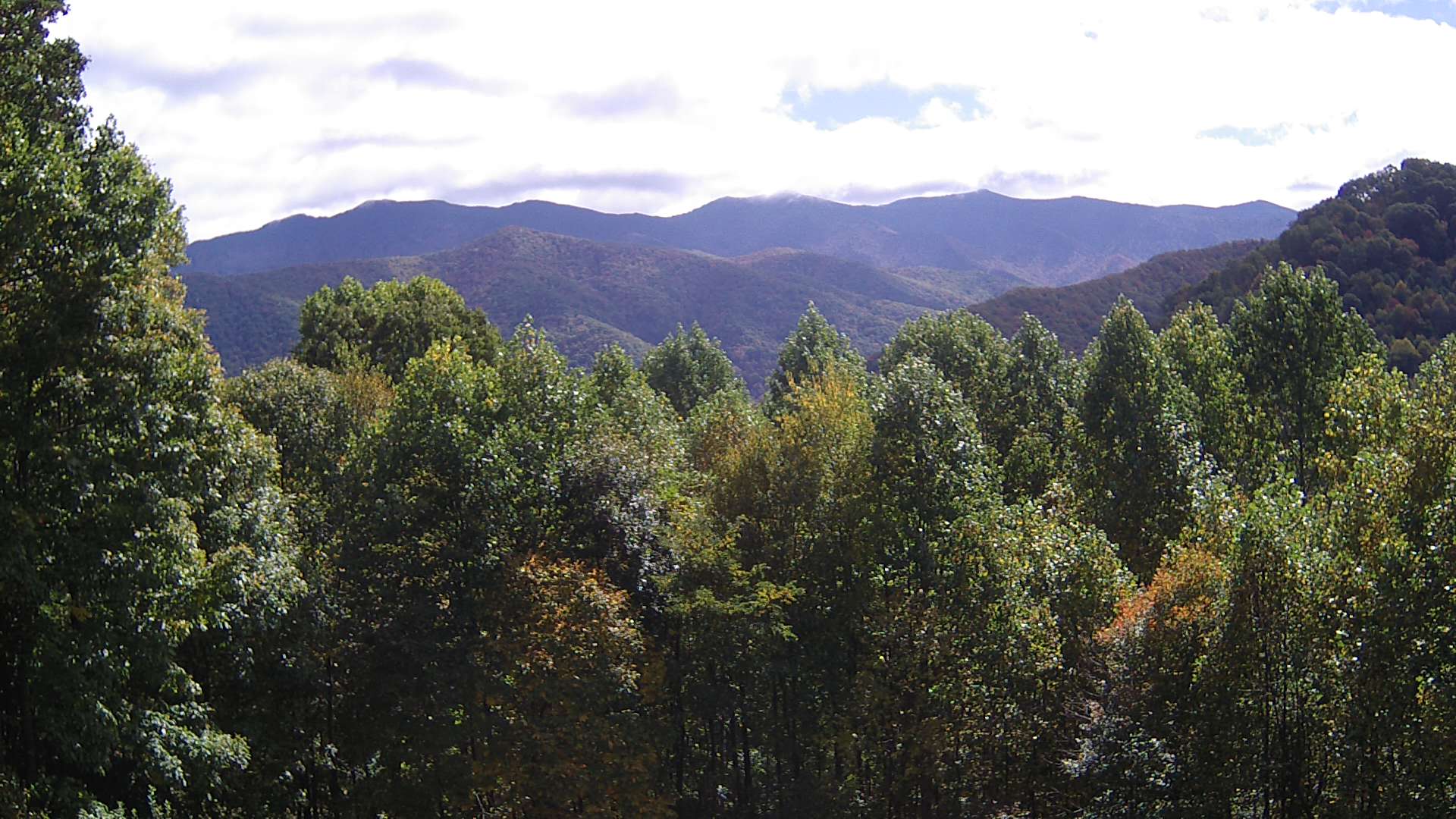 click for next image... slideshow image