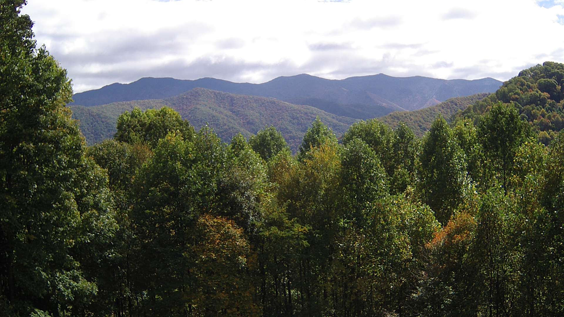 click for next image... slideshow image