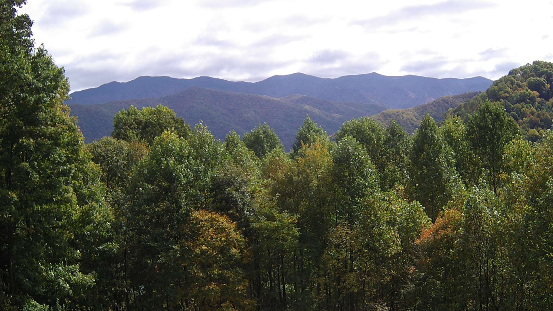 click for next image... slideshow image