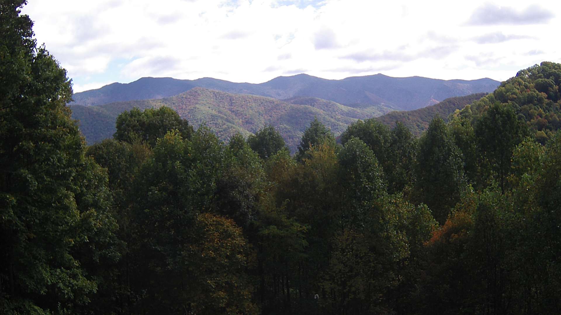 click for next image... slideshow image