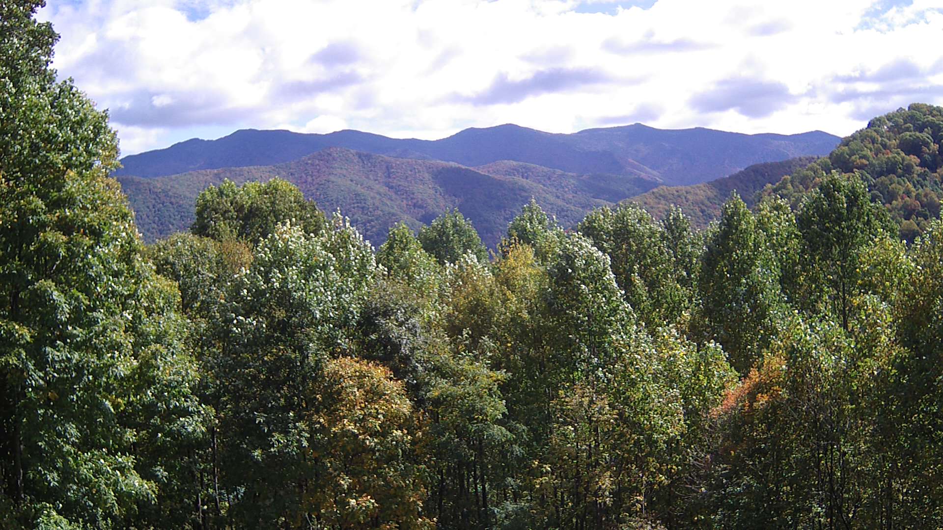 click for next image... slideshow image