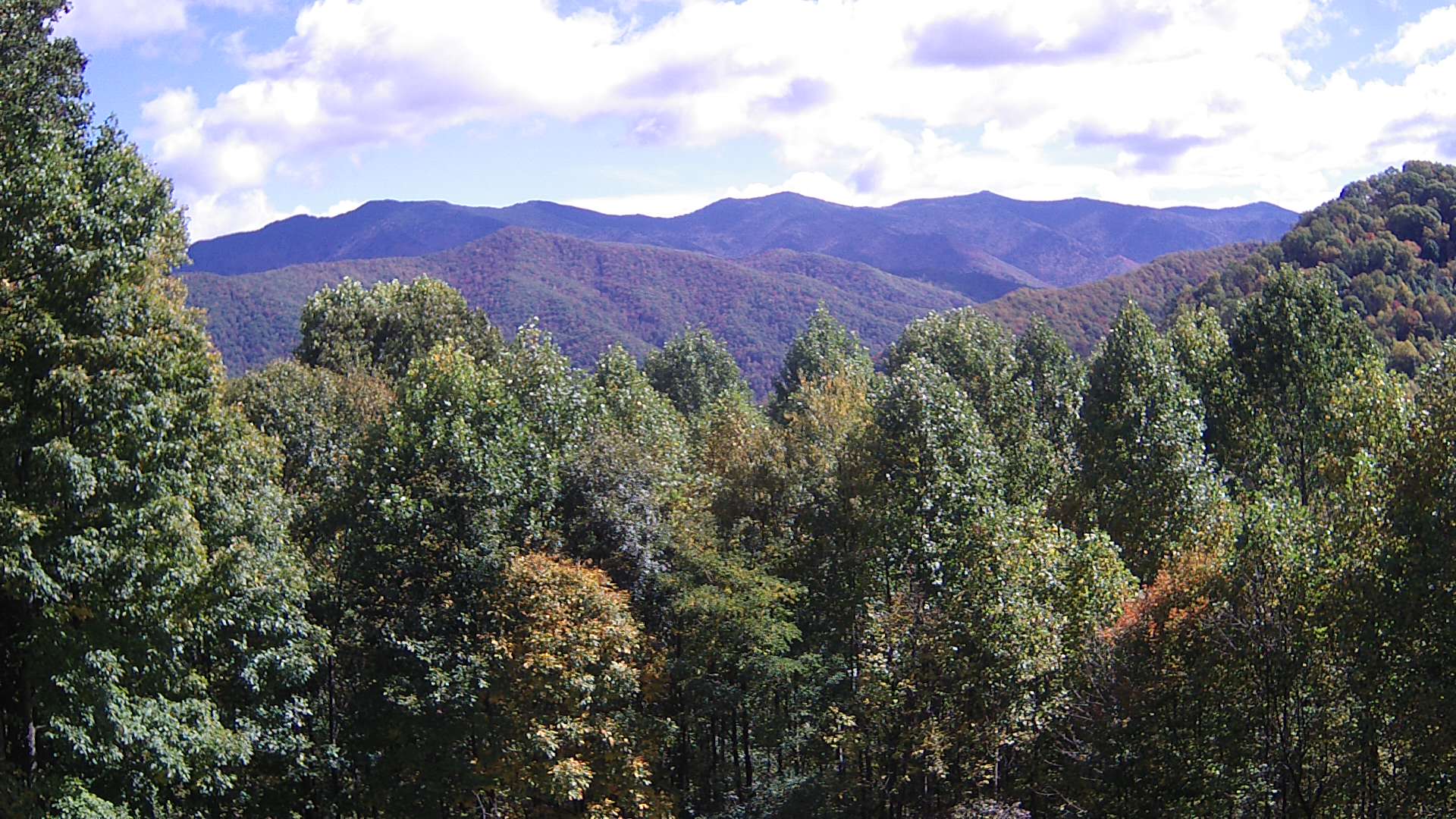 click for next image... slideshow image