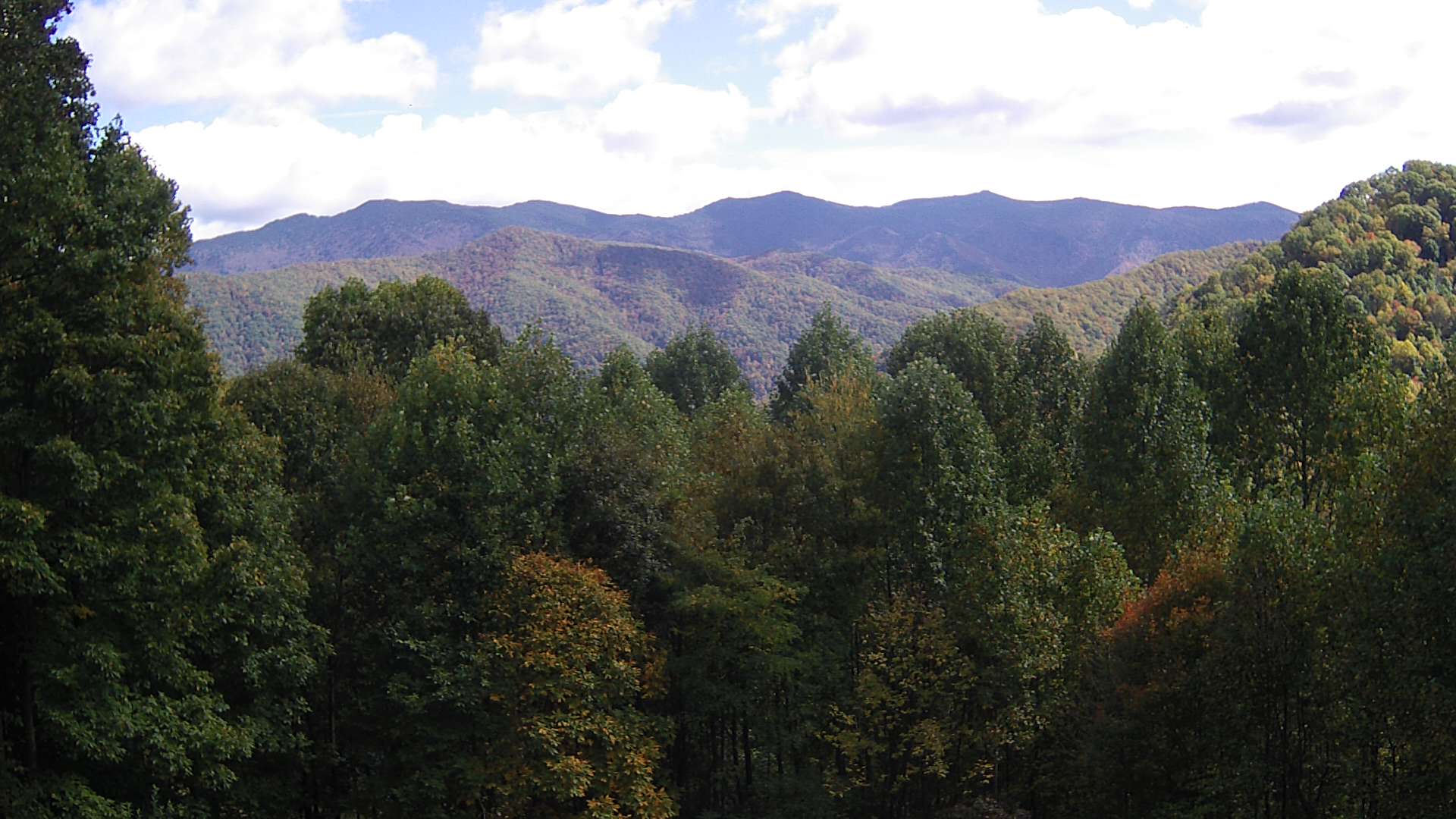 click for next image... slideshow image