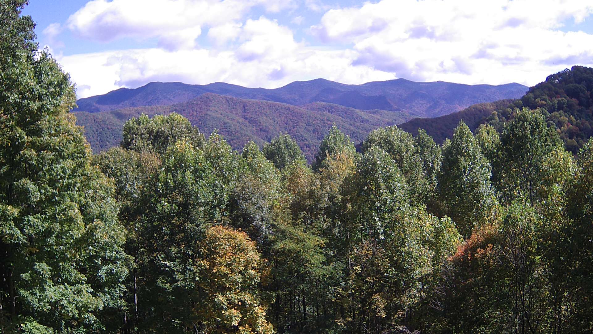 click for next image... slideshow image