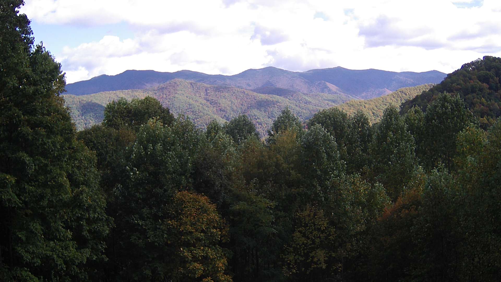 click for next image... slideshow image