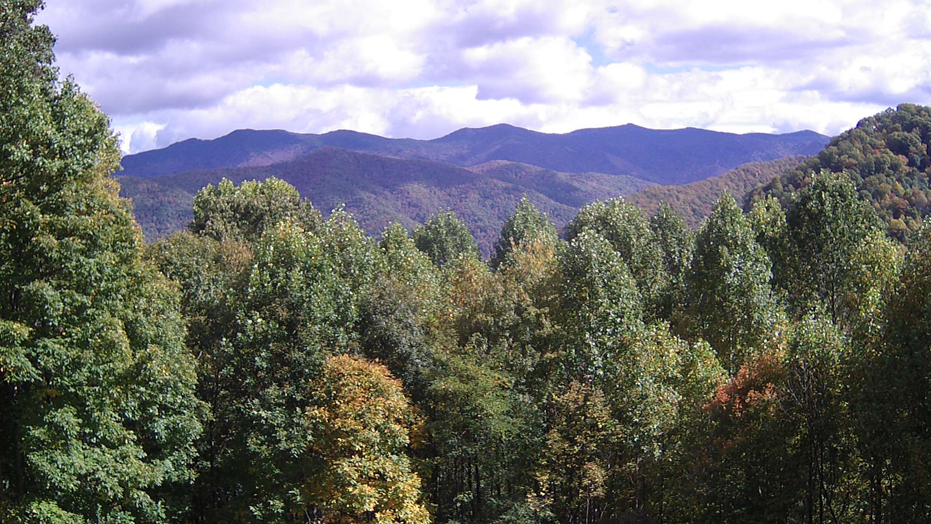 click for next image... slideshow image