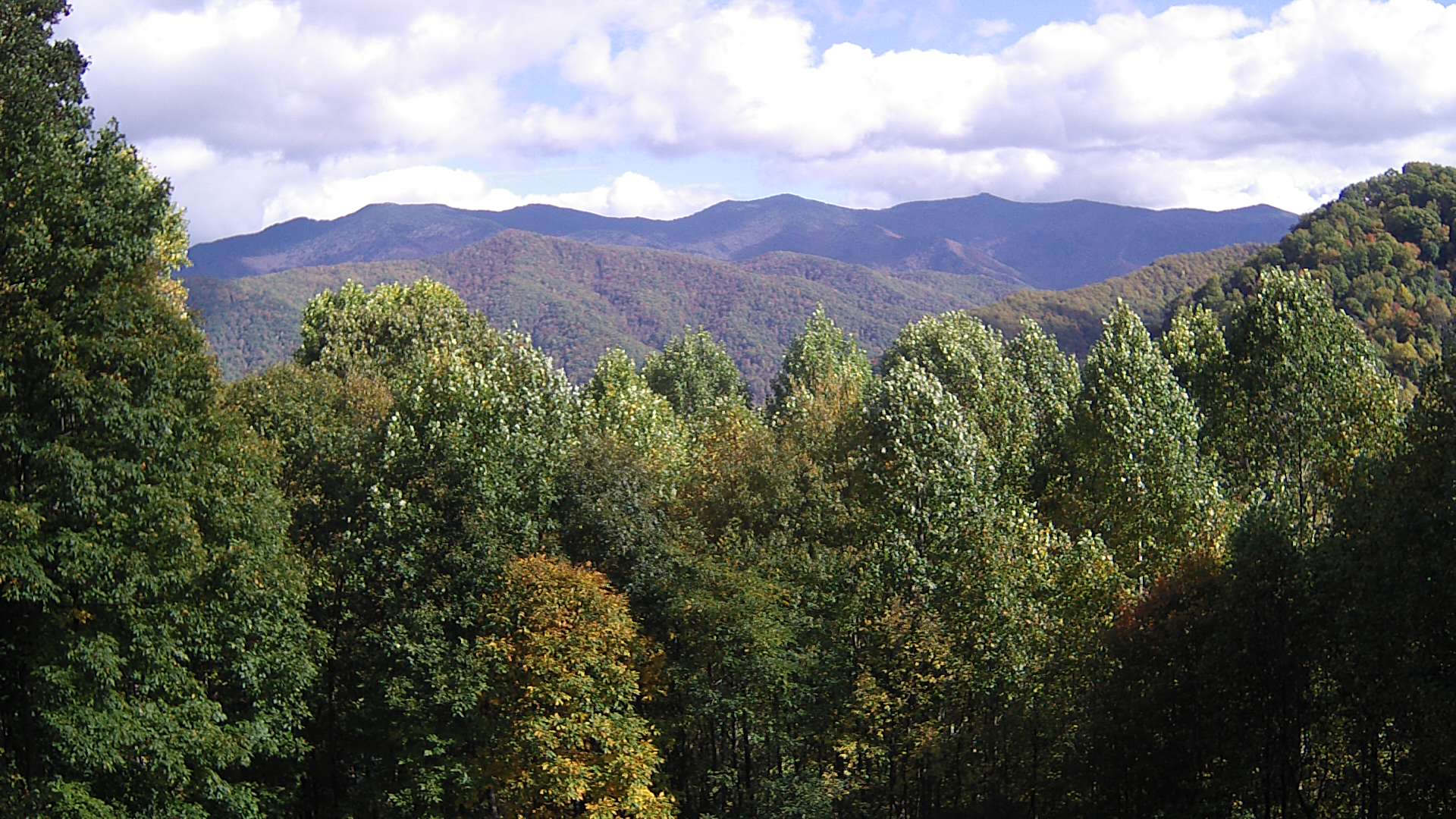 click for next image... slideshow image