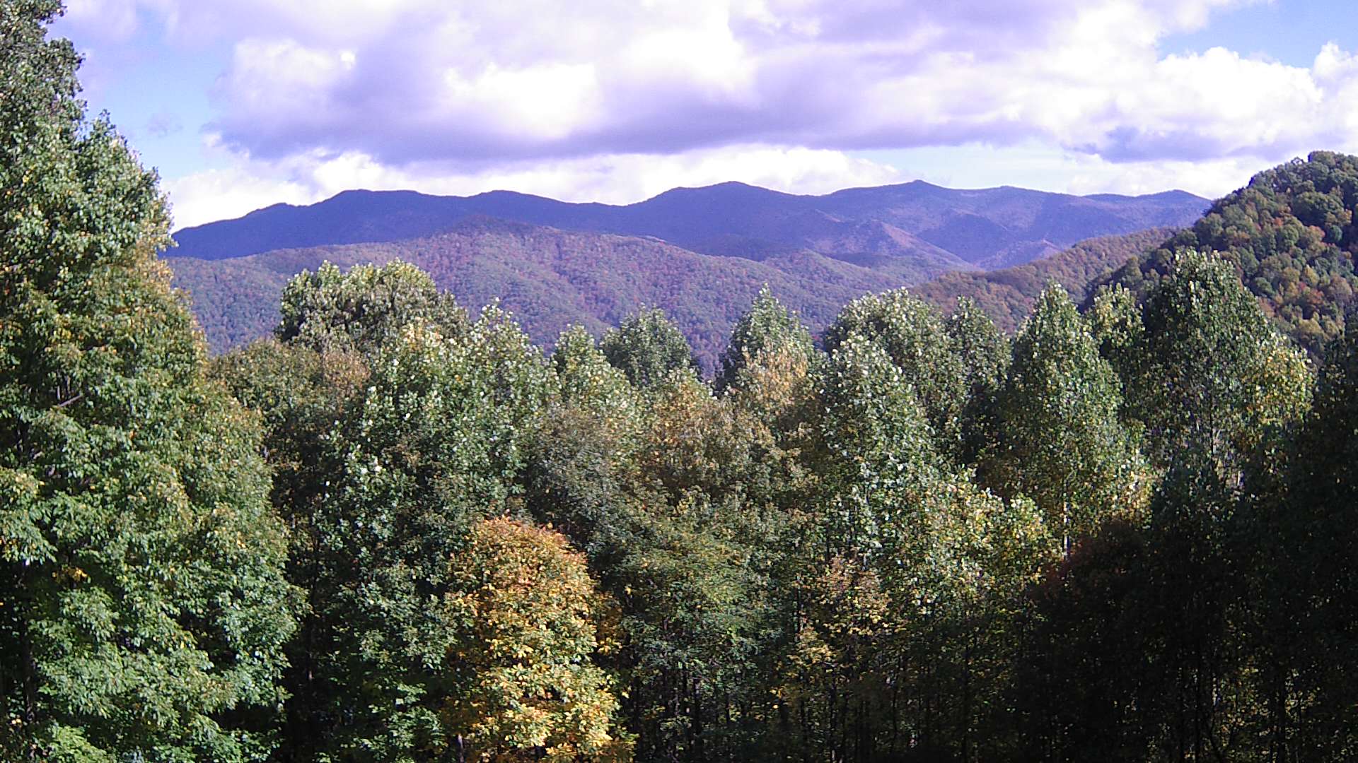 click for next image... slideshow image