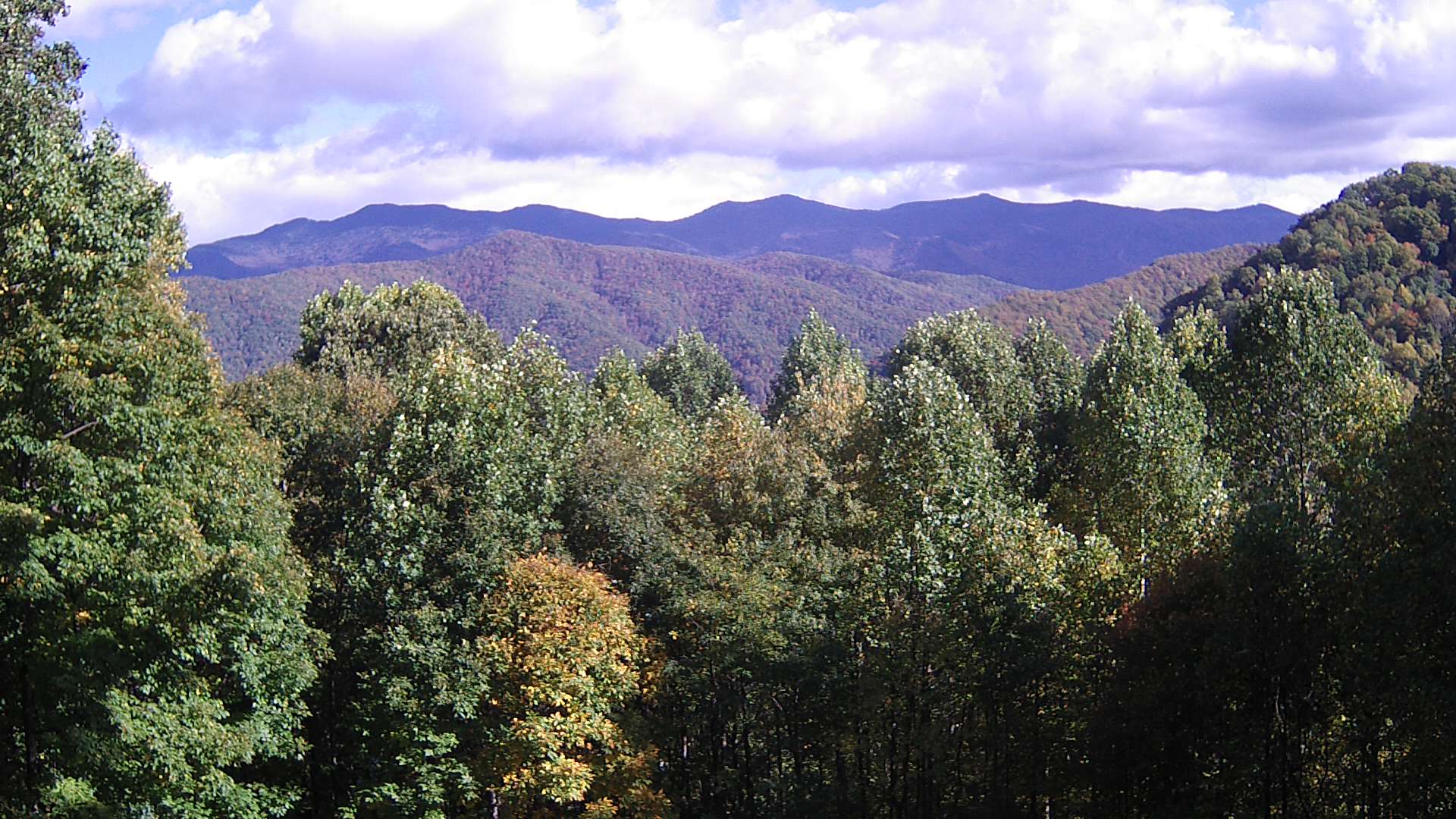 click for next image... slideshow image