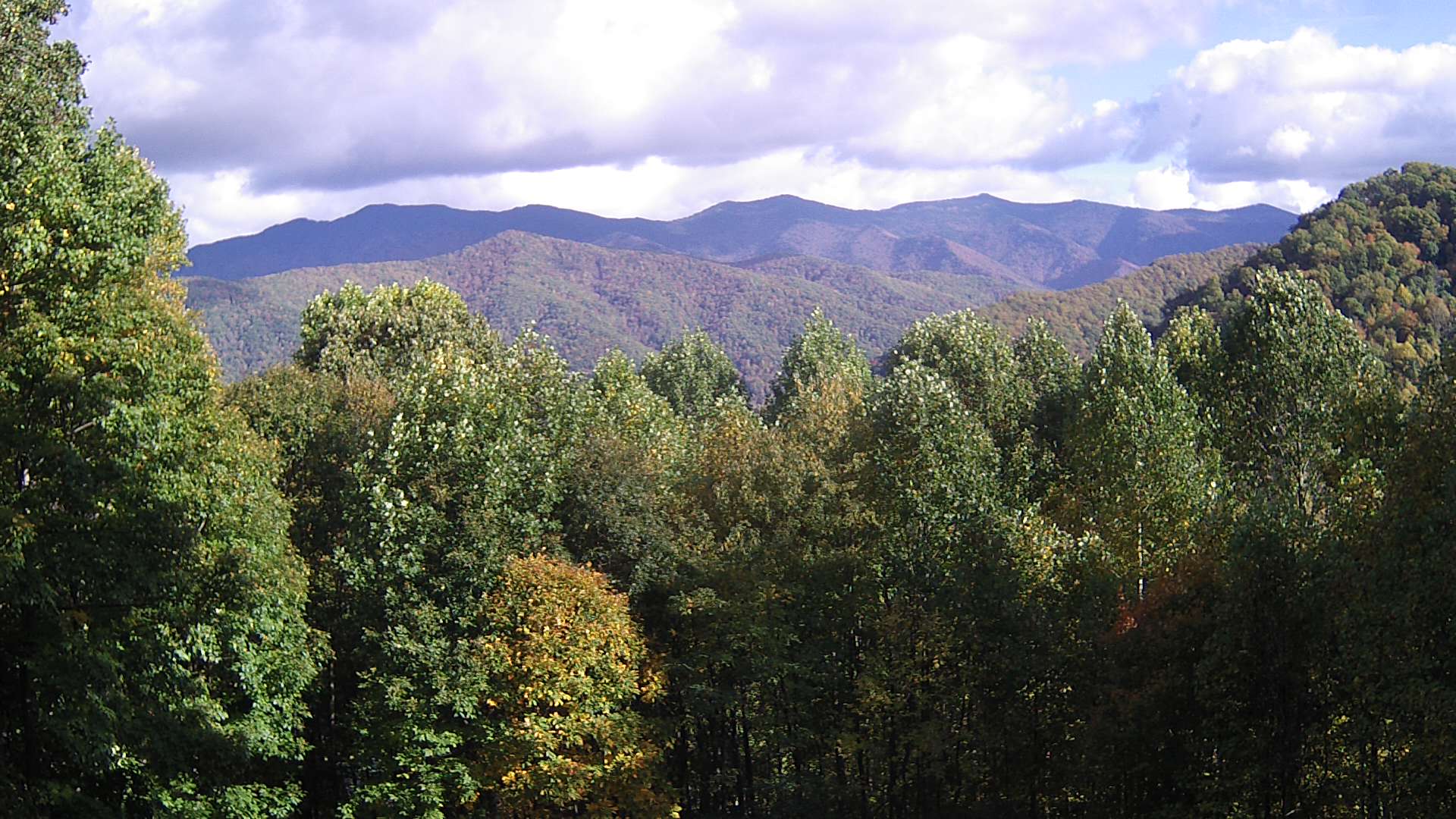 click for next image... slideshow image