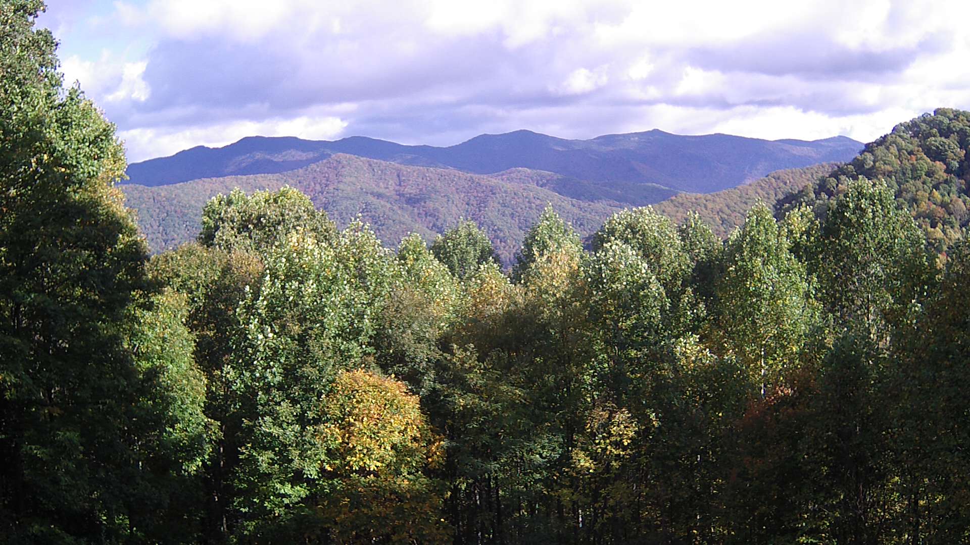 click for next image... slideshow image