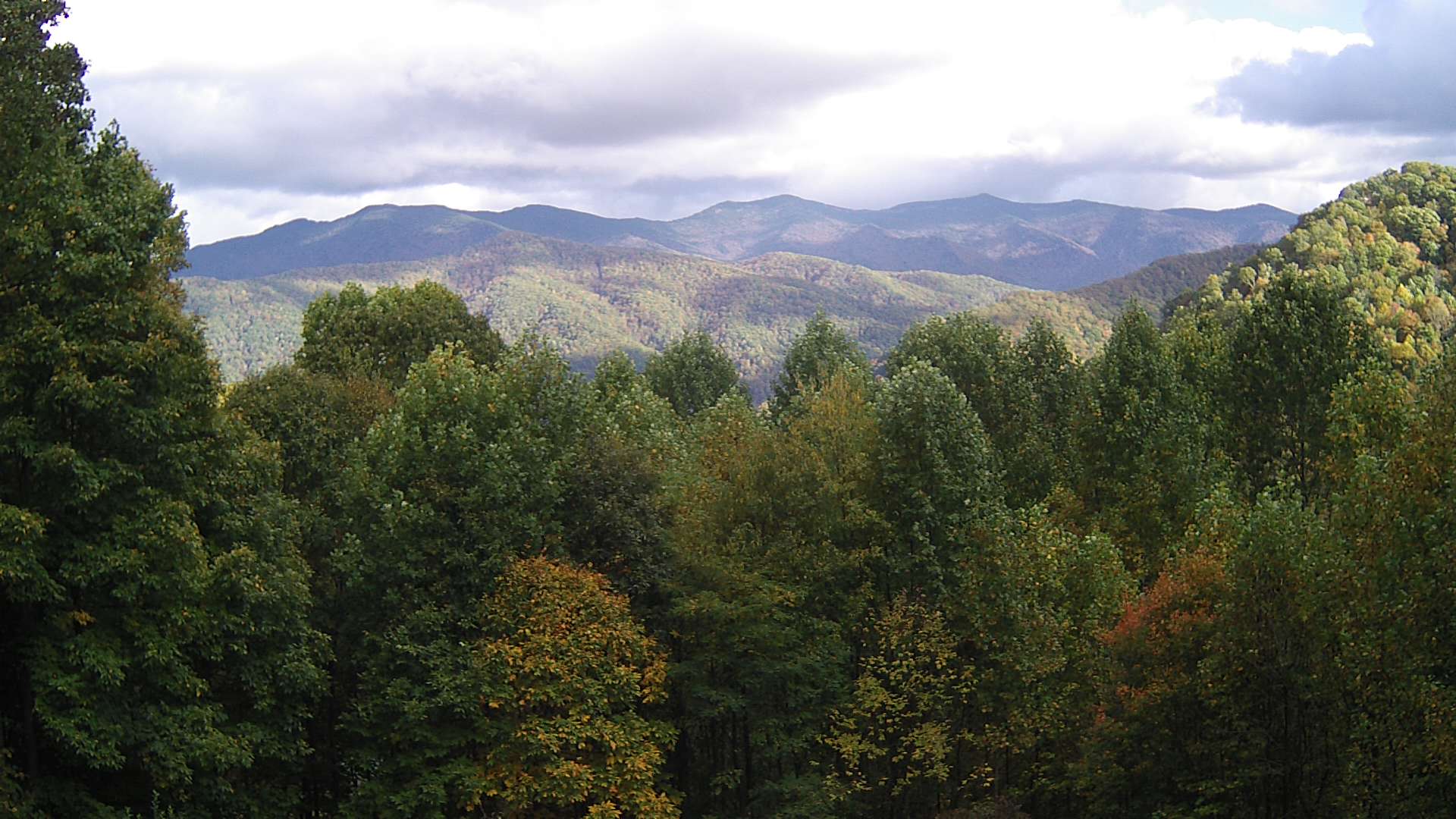 click for next image... slideshow image