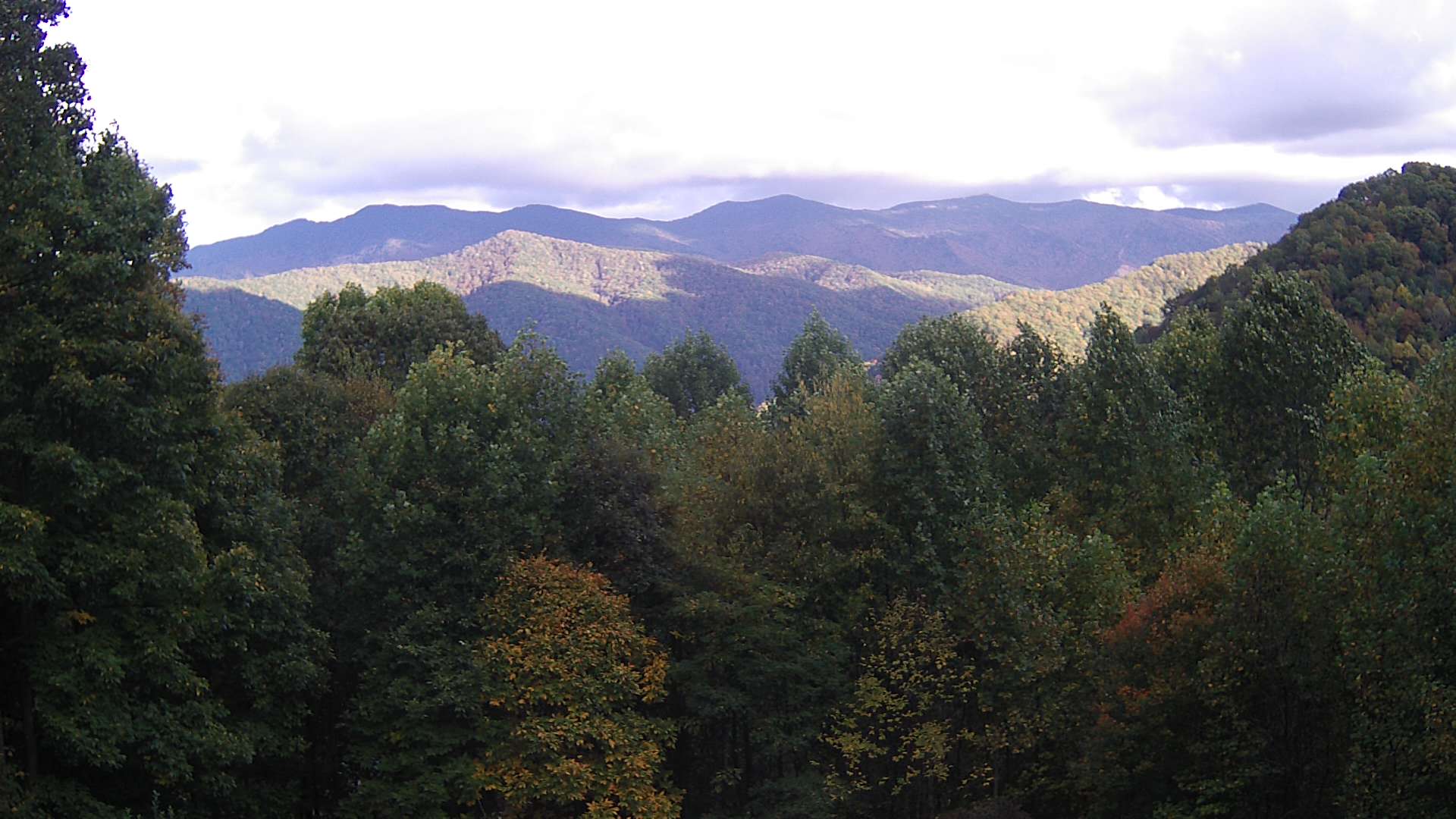 click for next image... slideshow image