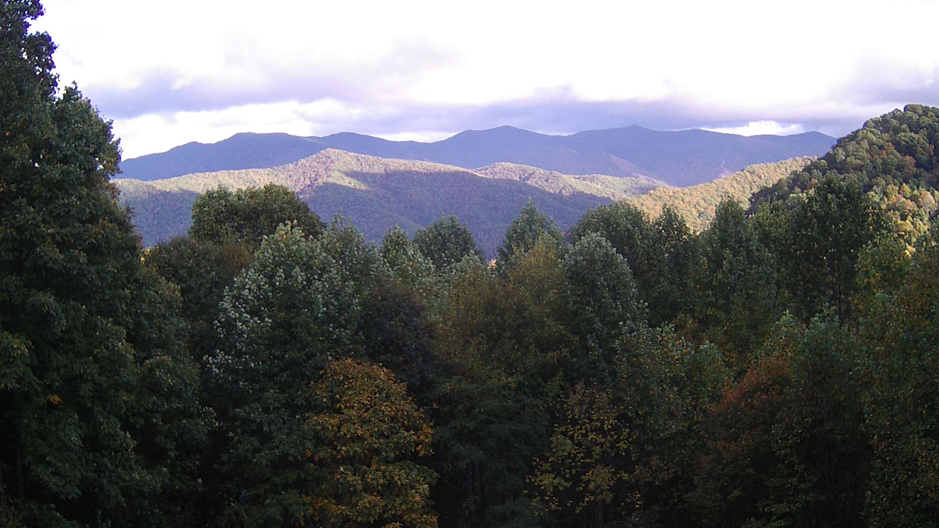 click for next image... slideshow image