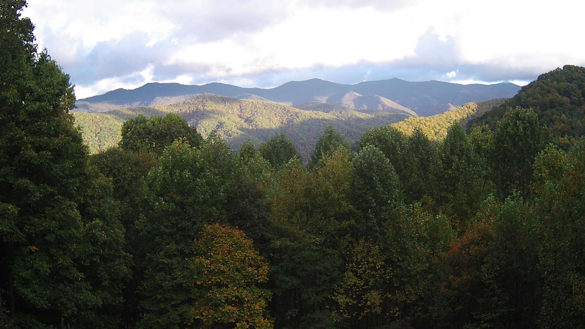 click for next image... slideshow image