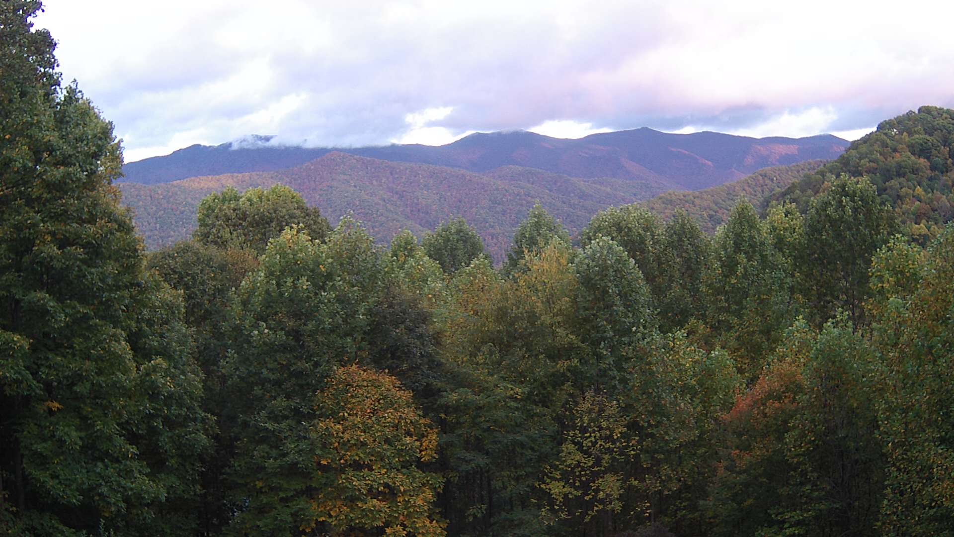 click for next image... slideshow image