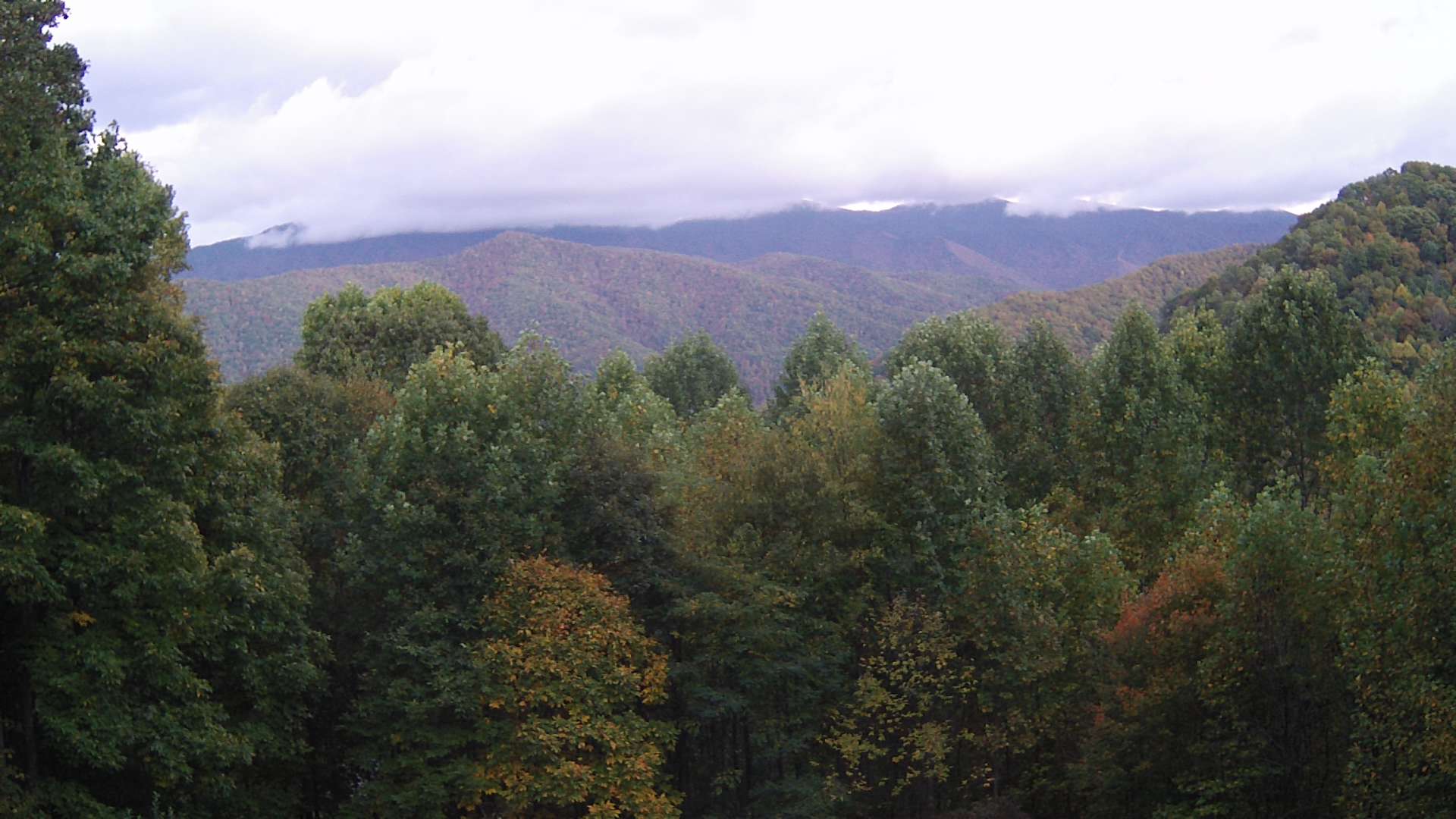 click for next image... slideshow image