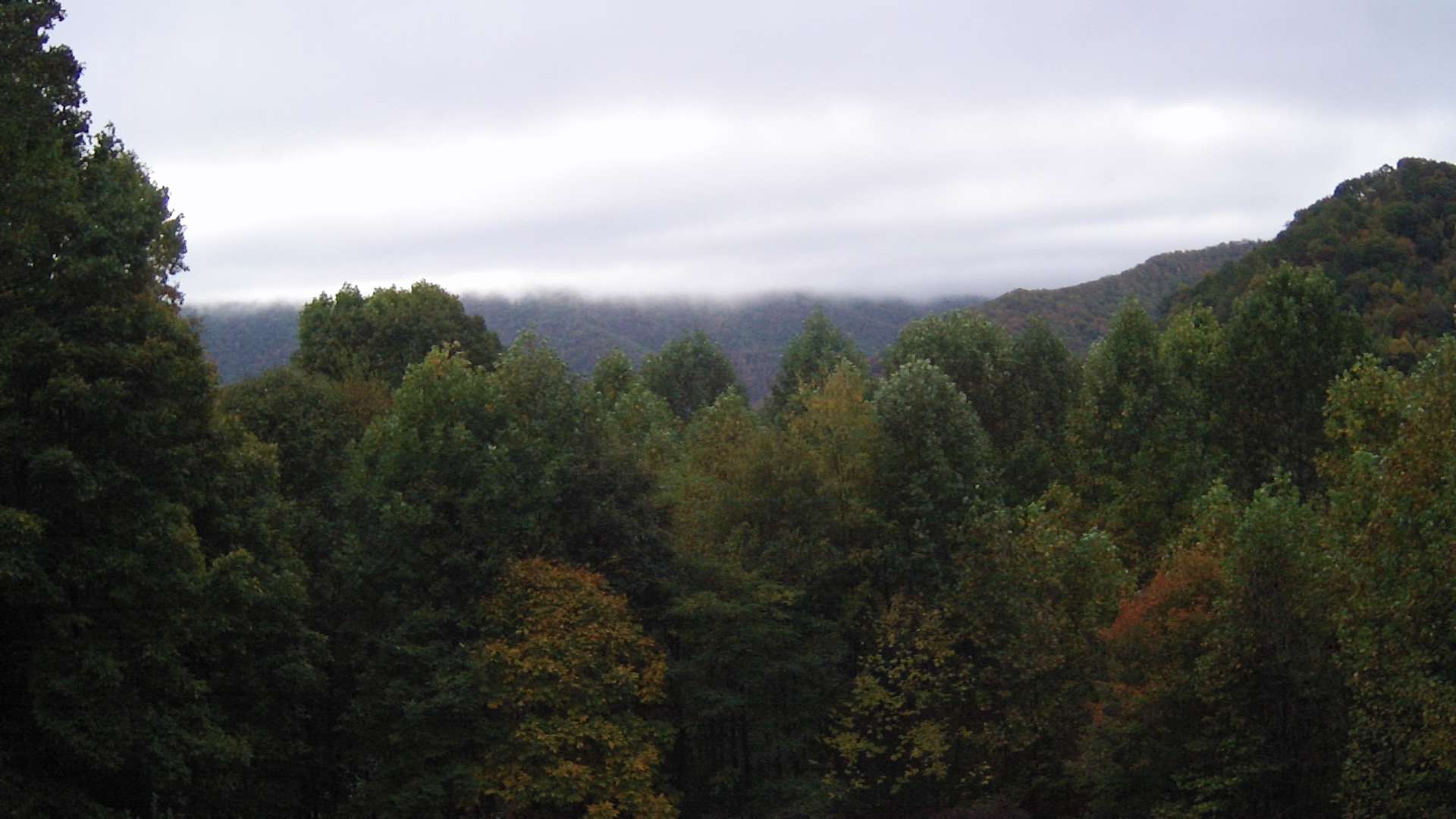 click for next image... slideshow image