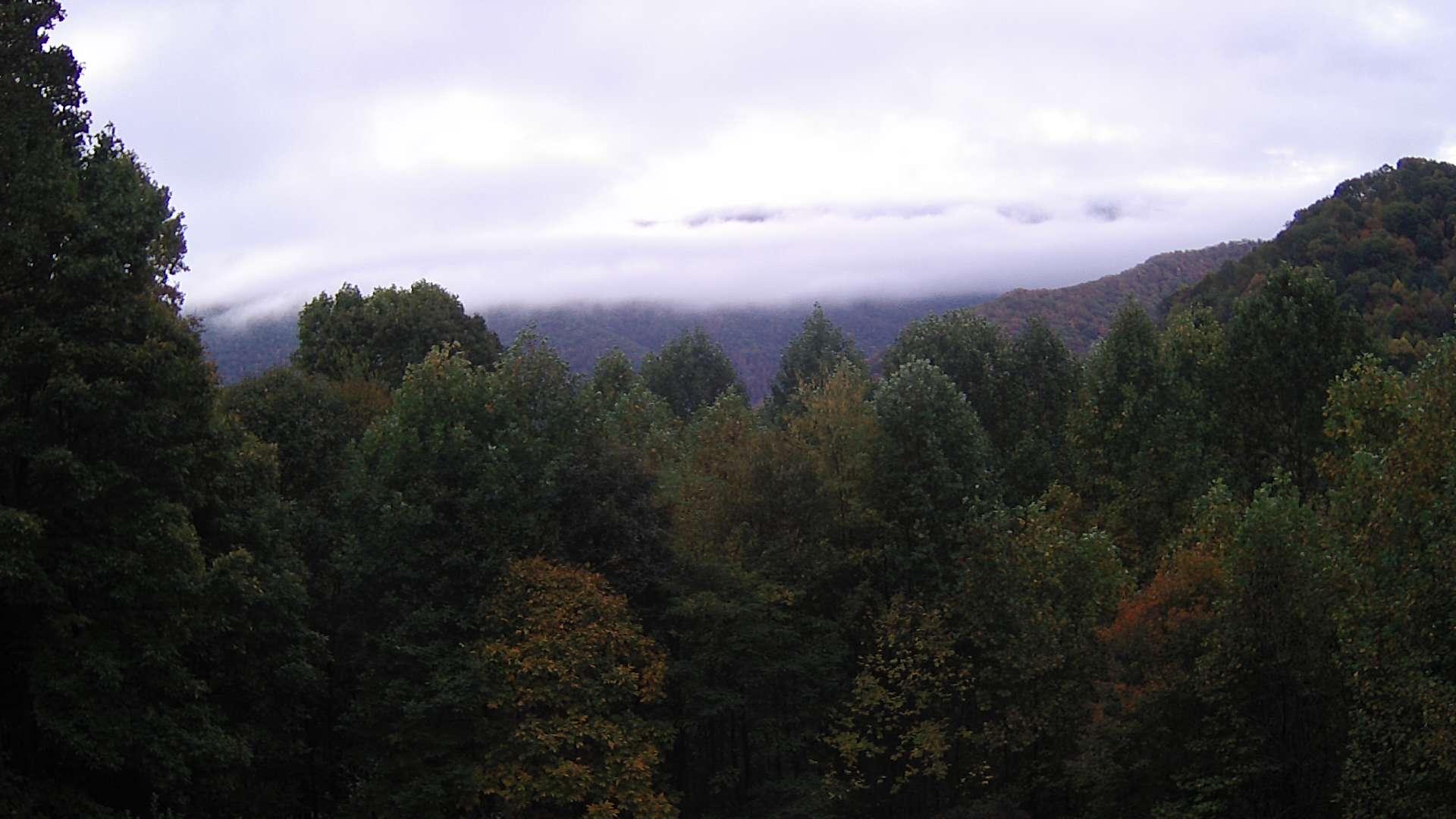 click for next image... slideshow image