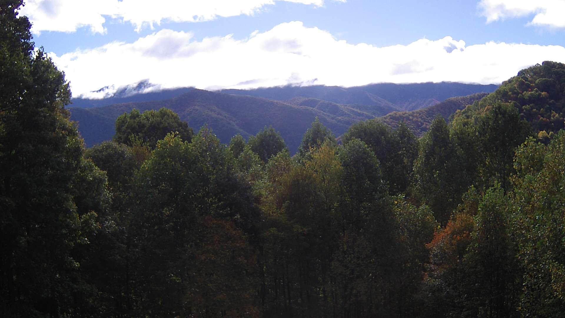 click for next image... slideshow image