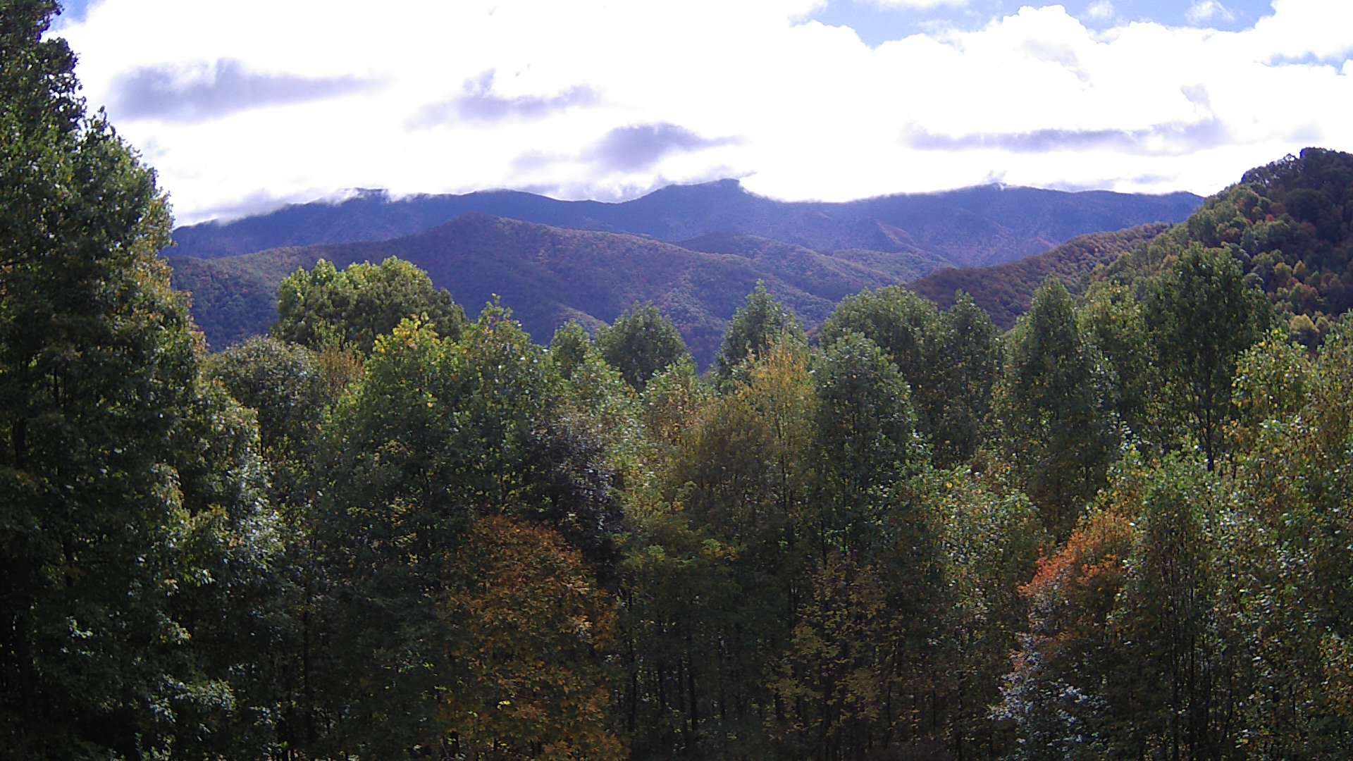 click for next image... slideshow image