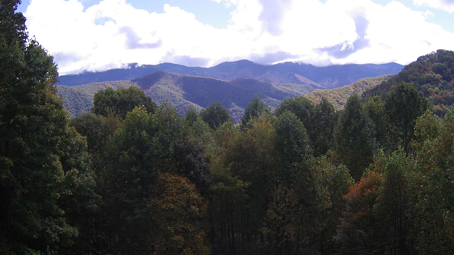 click for next image... slideshow image