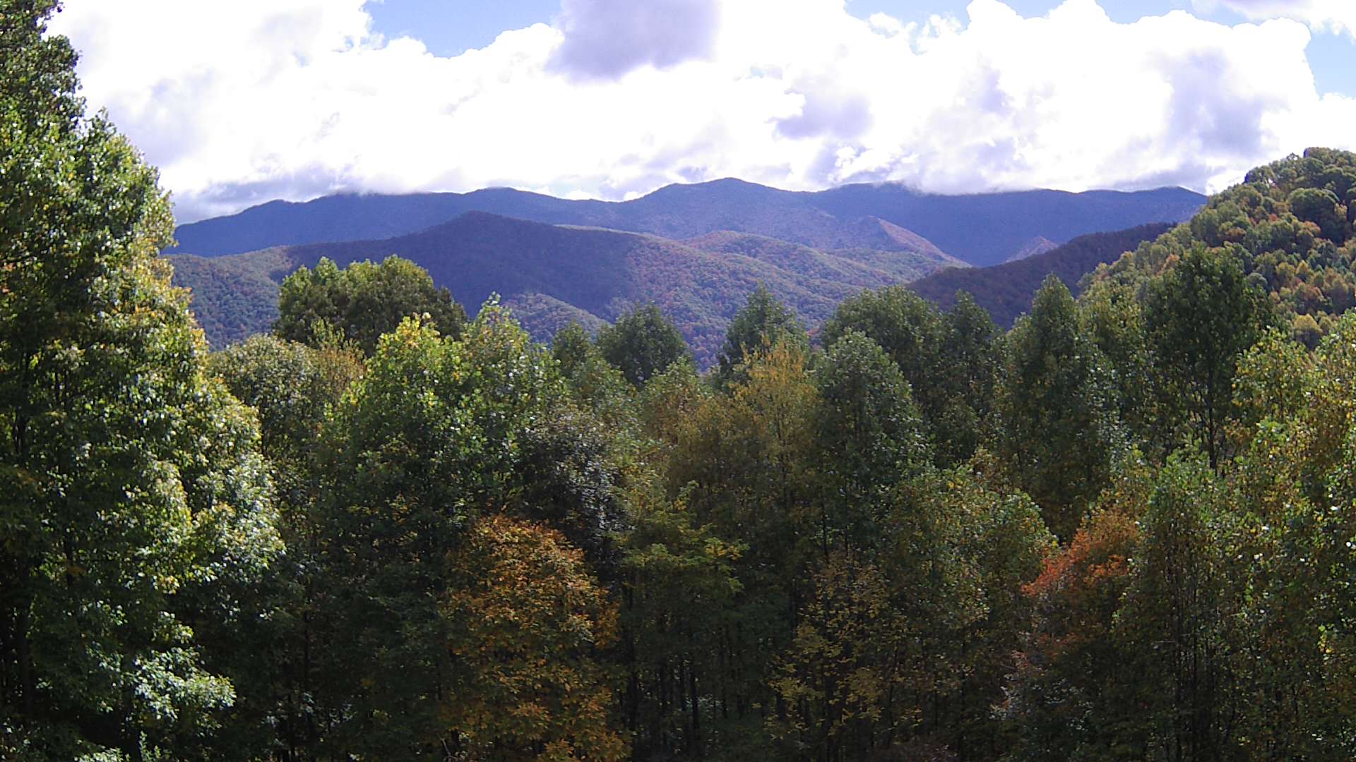 click for next image... slideshow image