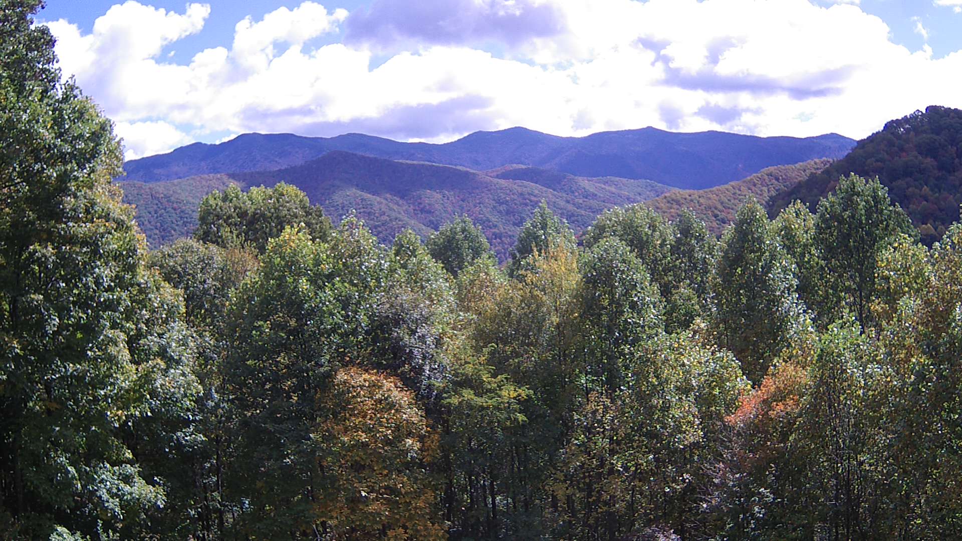 click for next image... slideshow image