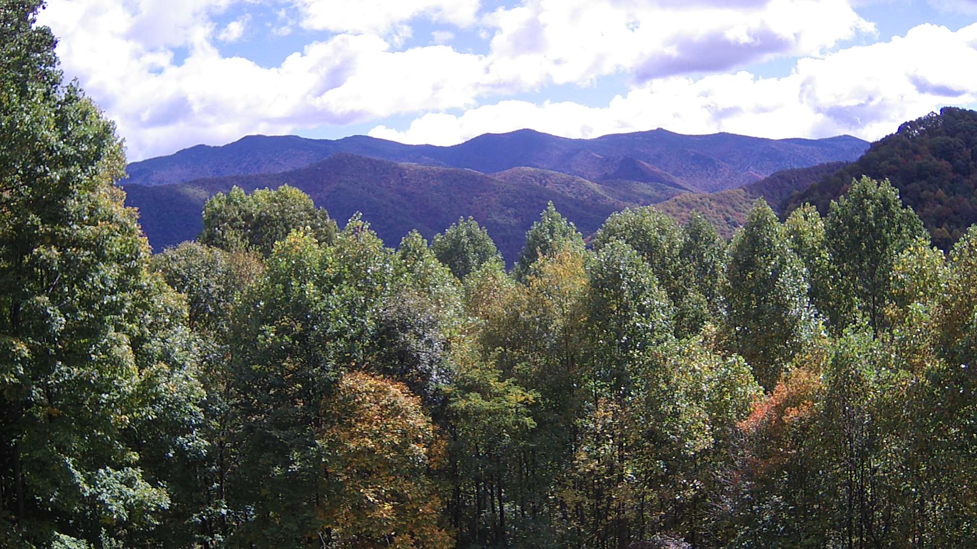 click for next image... slideshow image