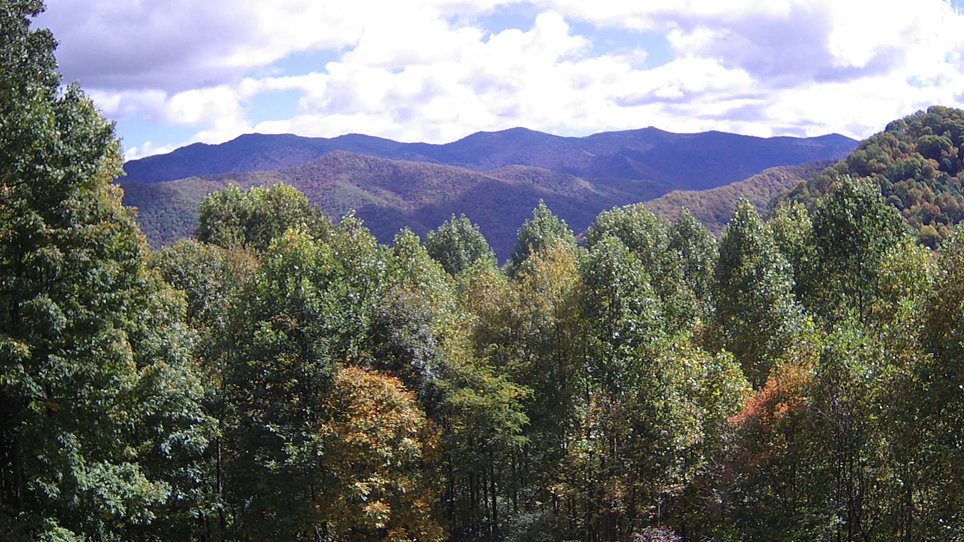 click for next image... slideshow image