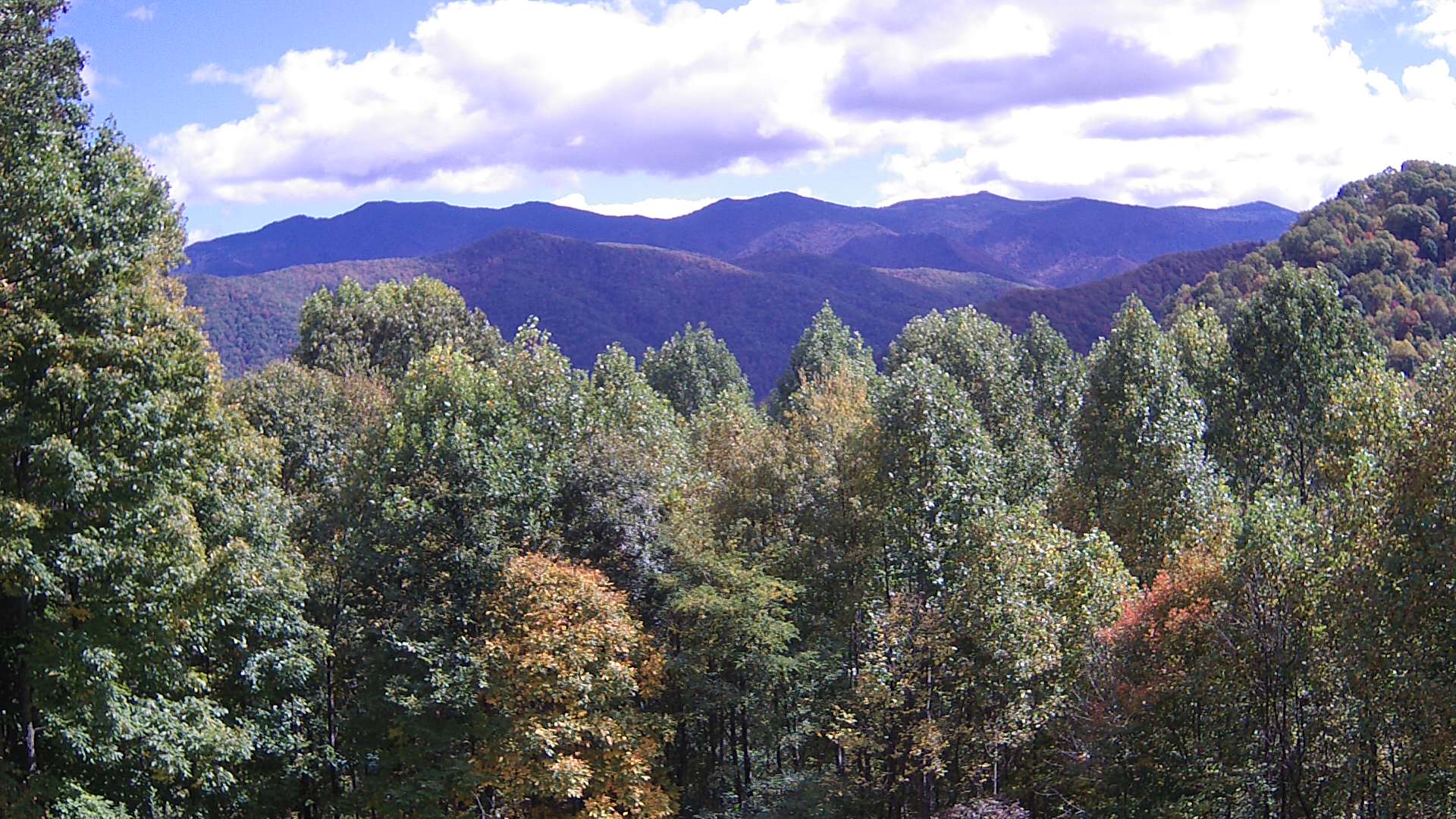 click for next image... slideshow image