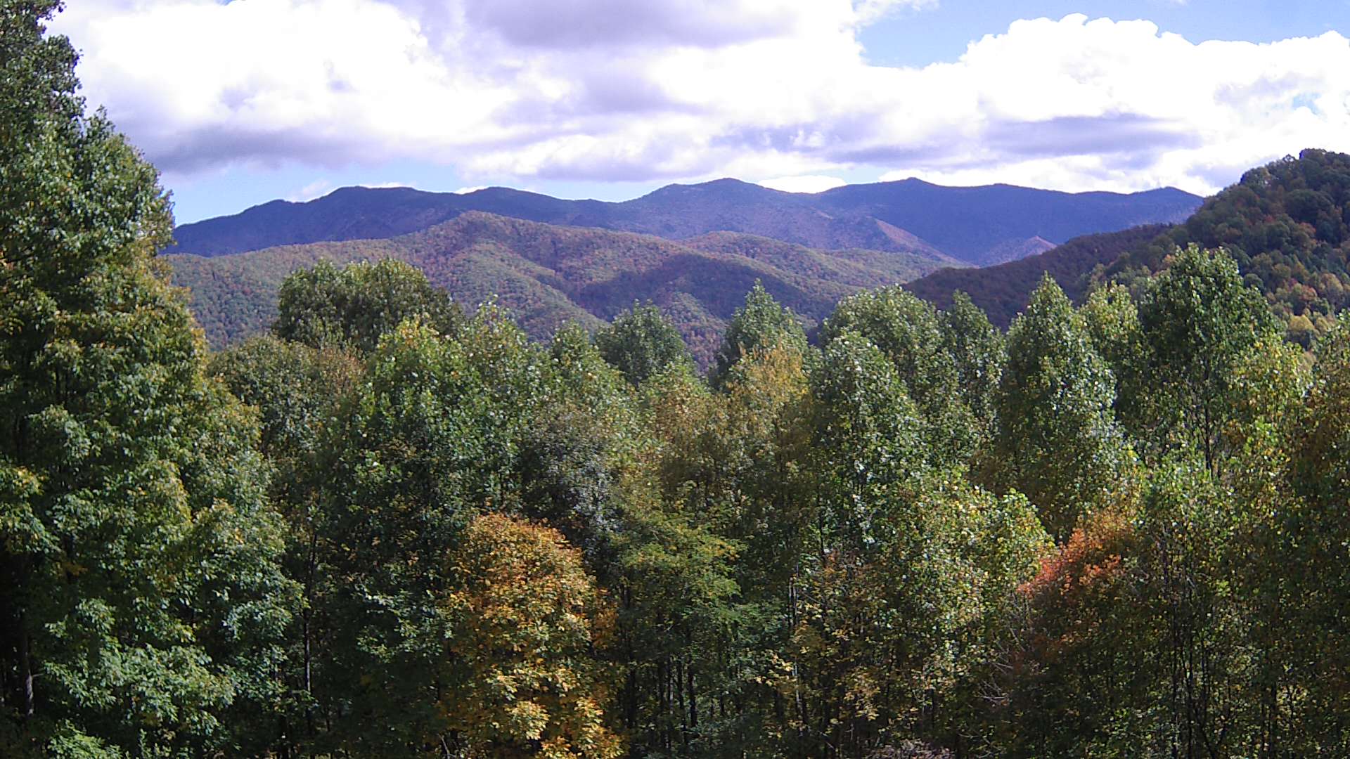 click for next image... slideshow image