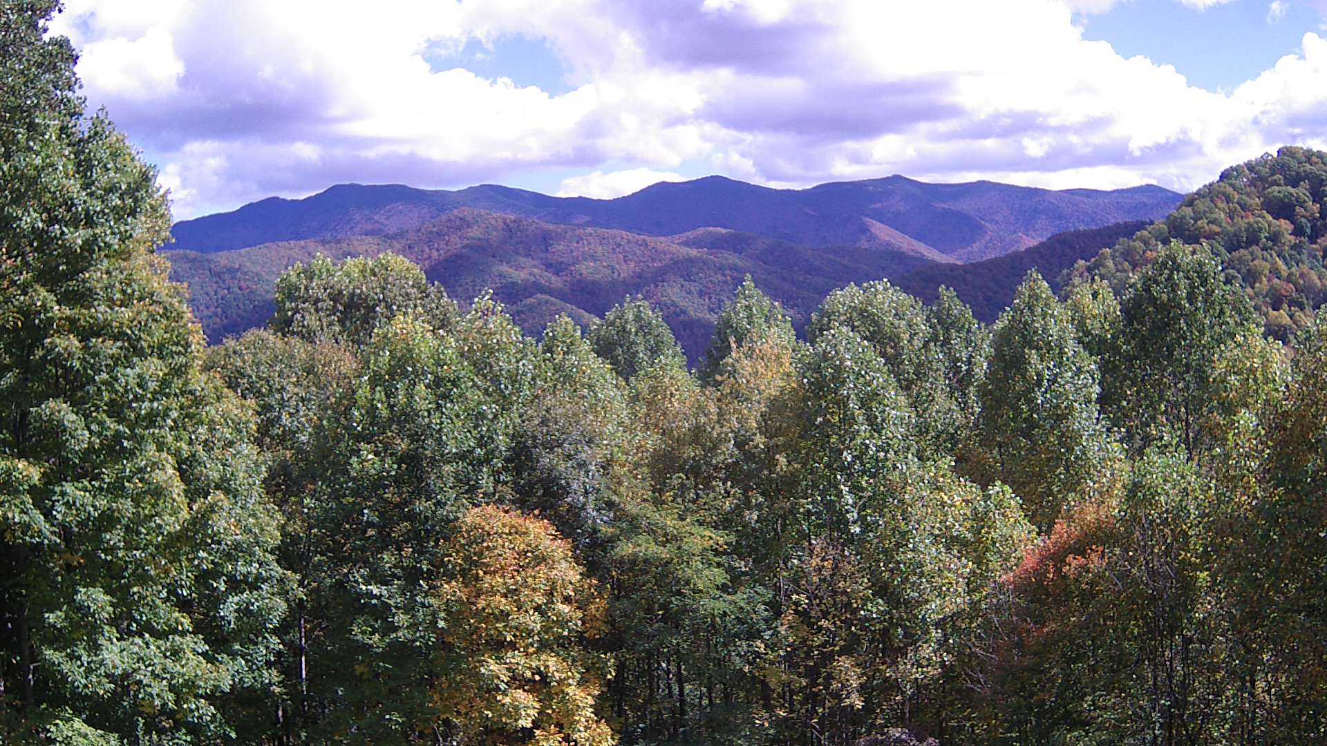 click for next image... slideshow image